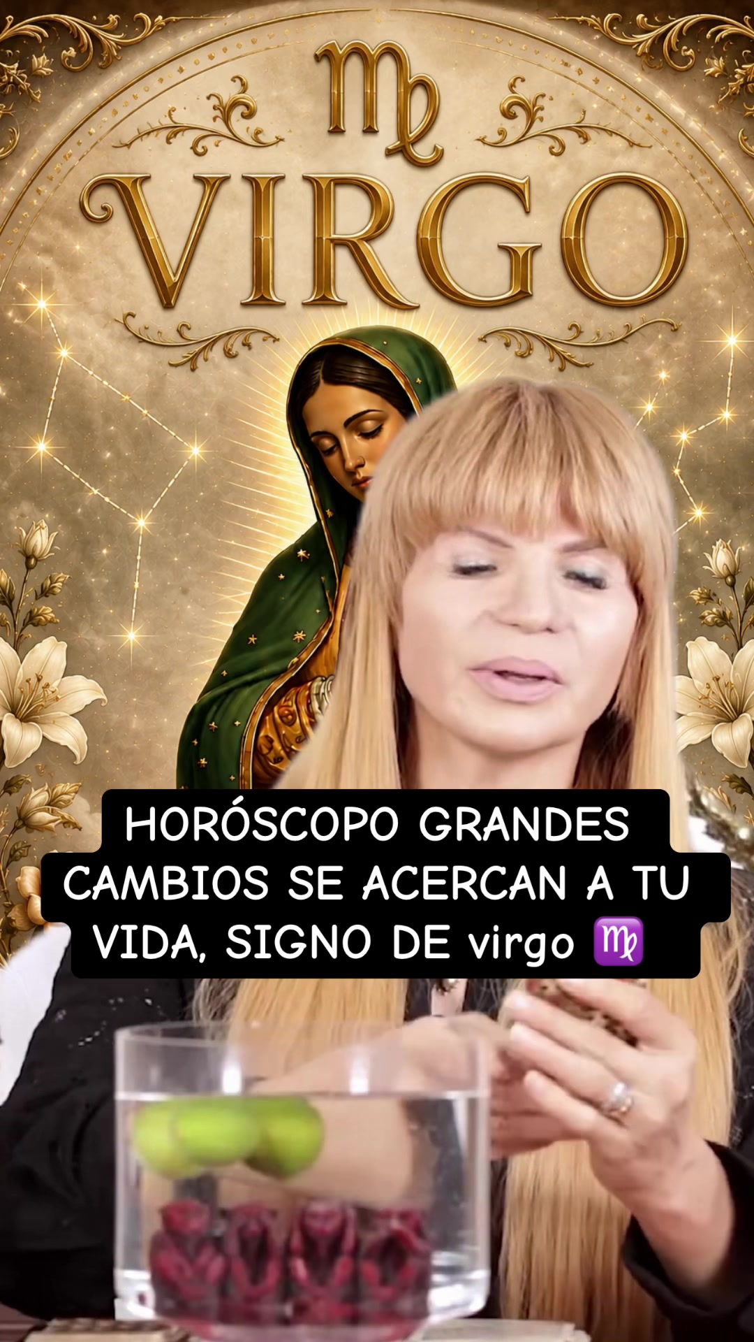 @✨ORÁCULO 13 ✨