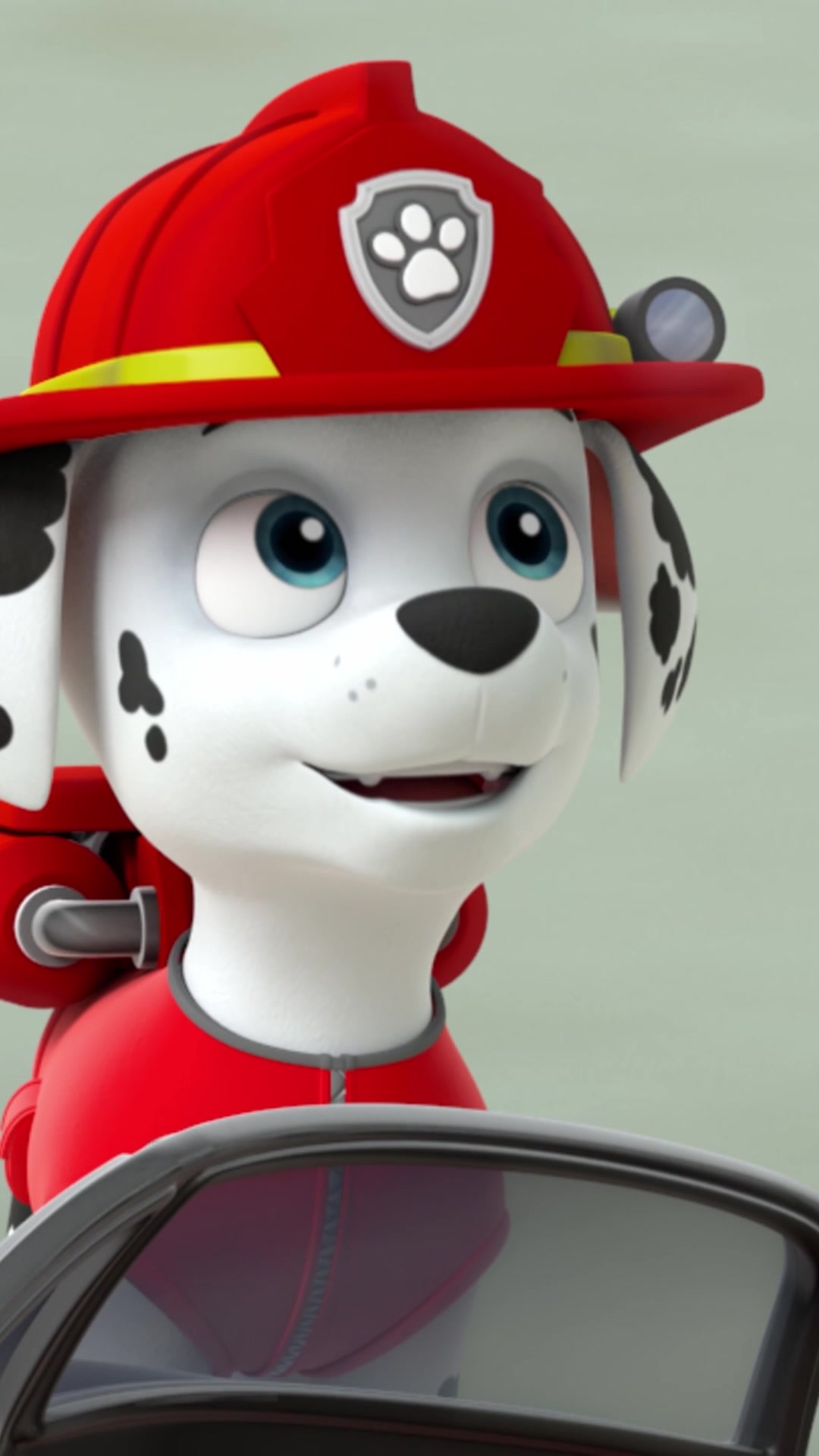 @pawpatrol