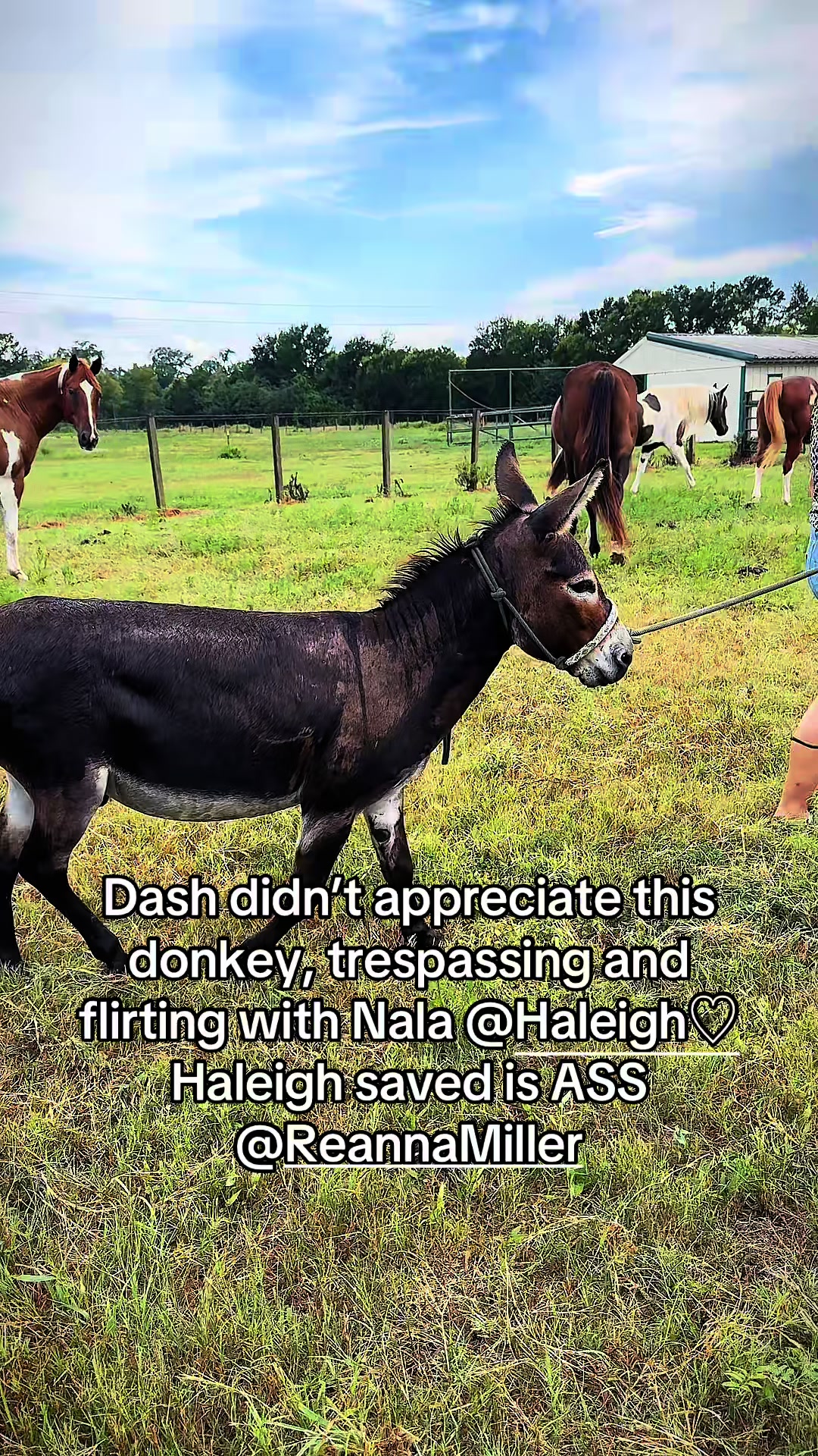 @bestlifetexas