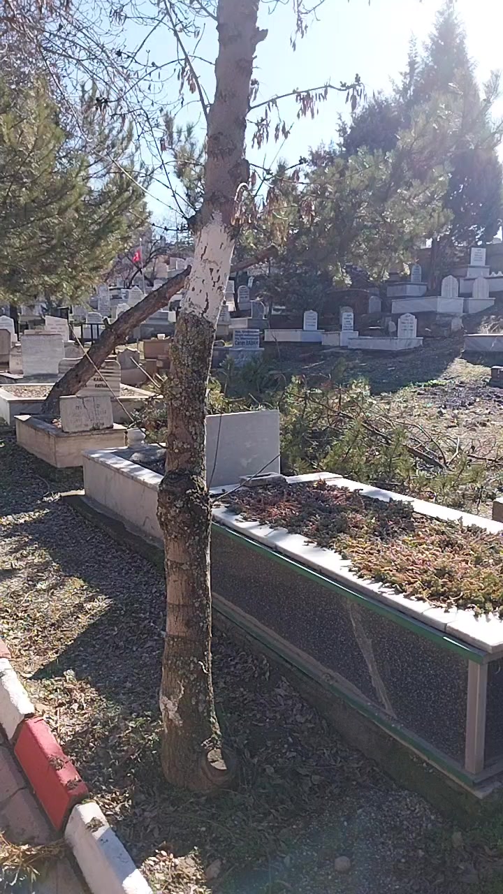 @ömer polat gönül dostu