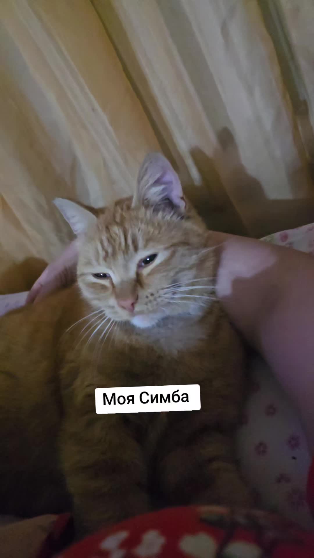 @Gulderai