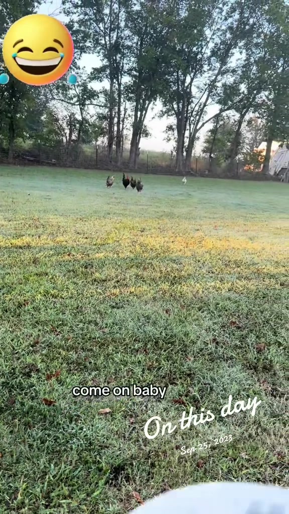 @NonniesFunnyFarm