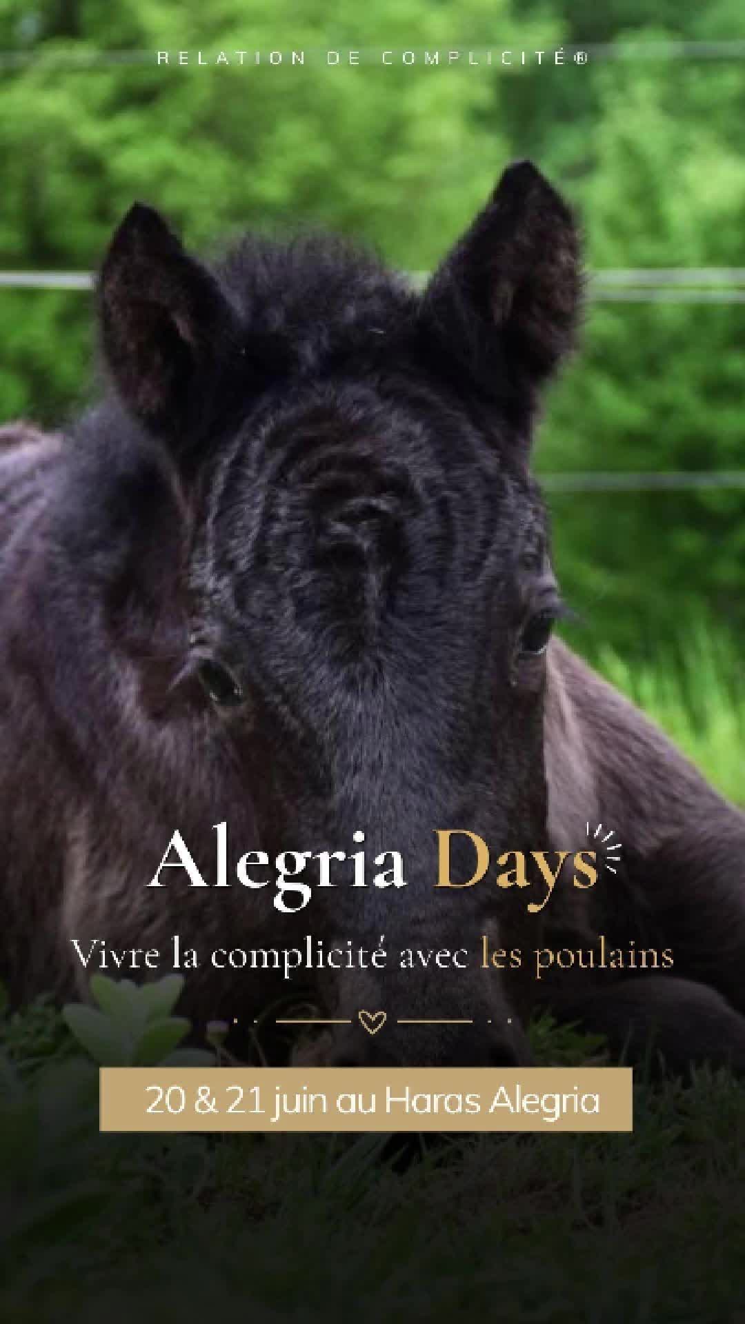 @Alegria Relation de Complicit&eacute;