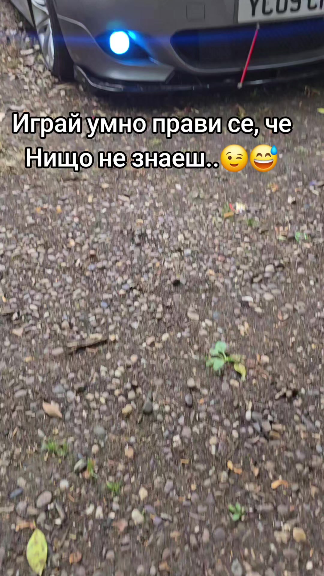 @⚡️🦁Георги🦁⚡️