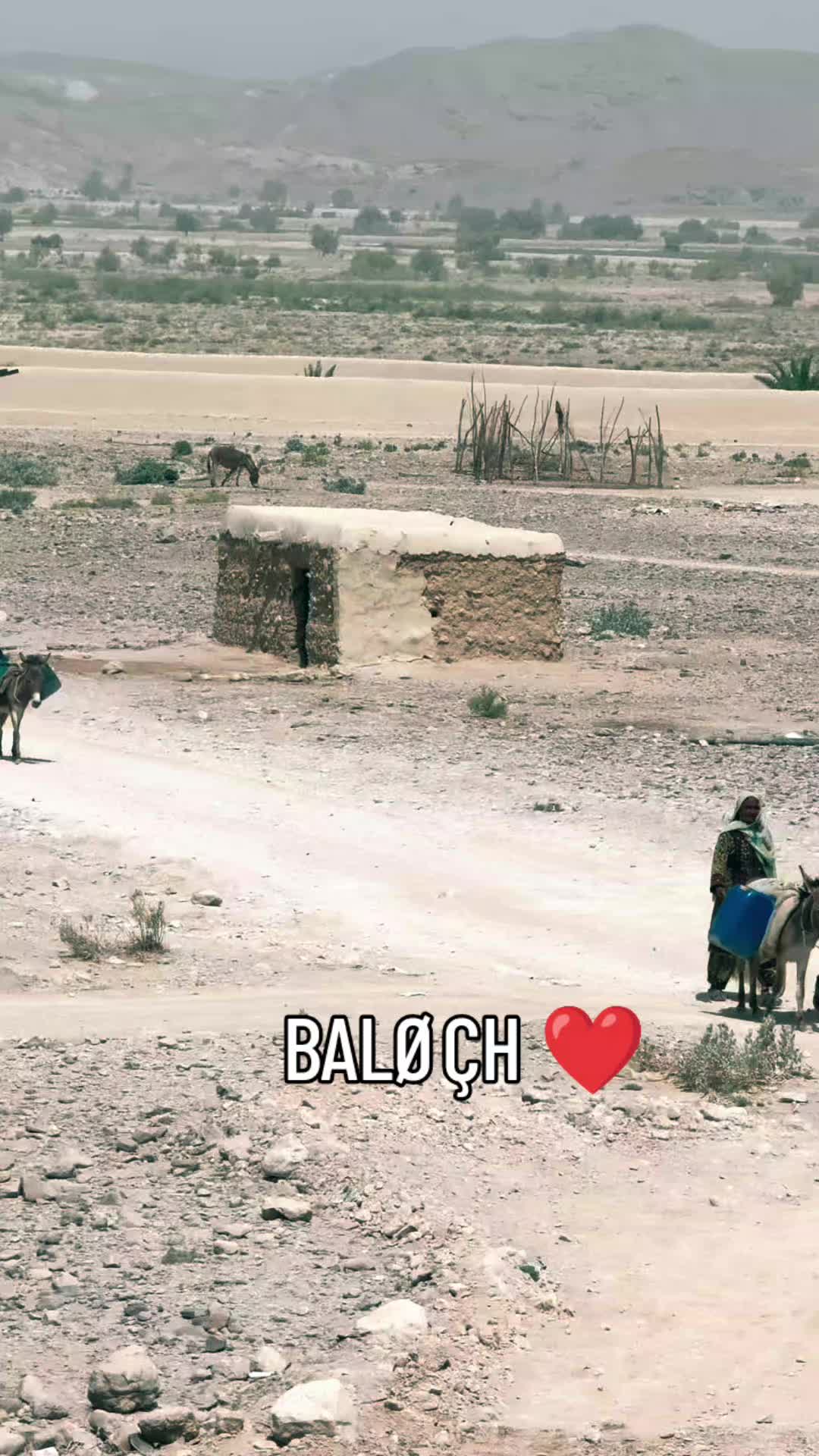 @*_❉্᭄͜͡_⤹⃝ BAL&Oslash;&Ccedil;H 👑🦋❉্᭄͜͡