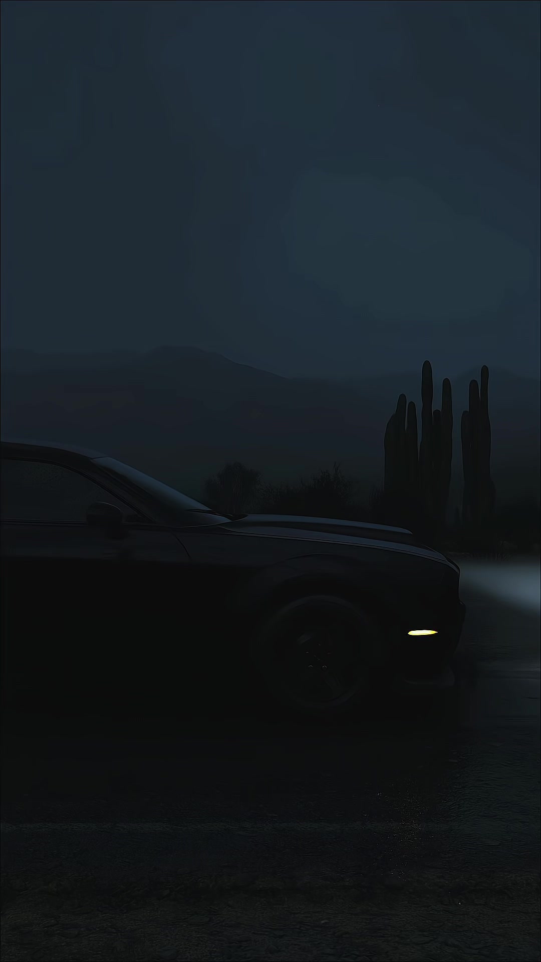 @Kody🦇