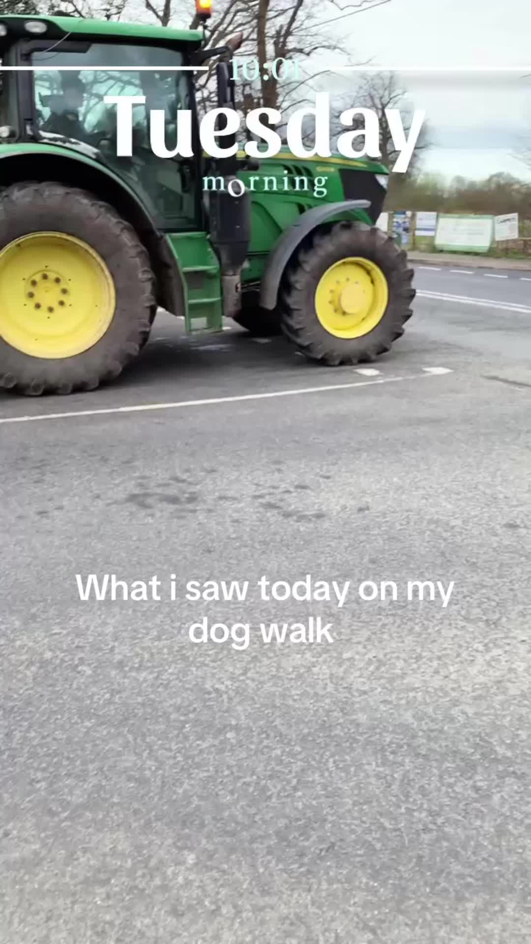 @Farmer Adam