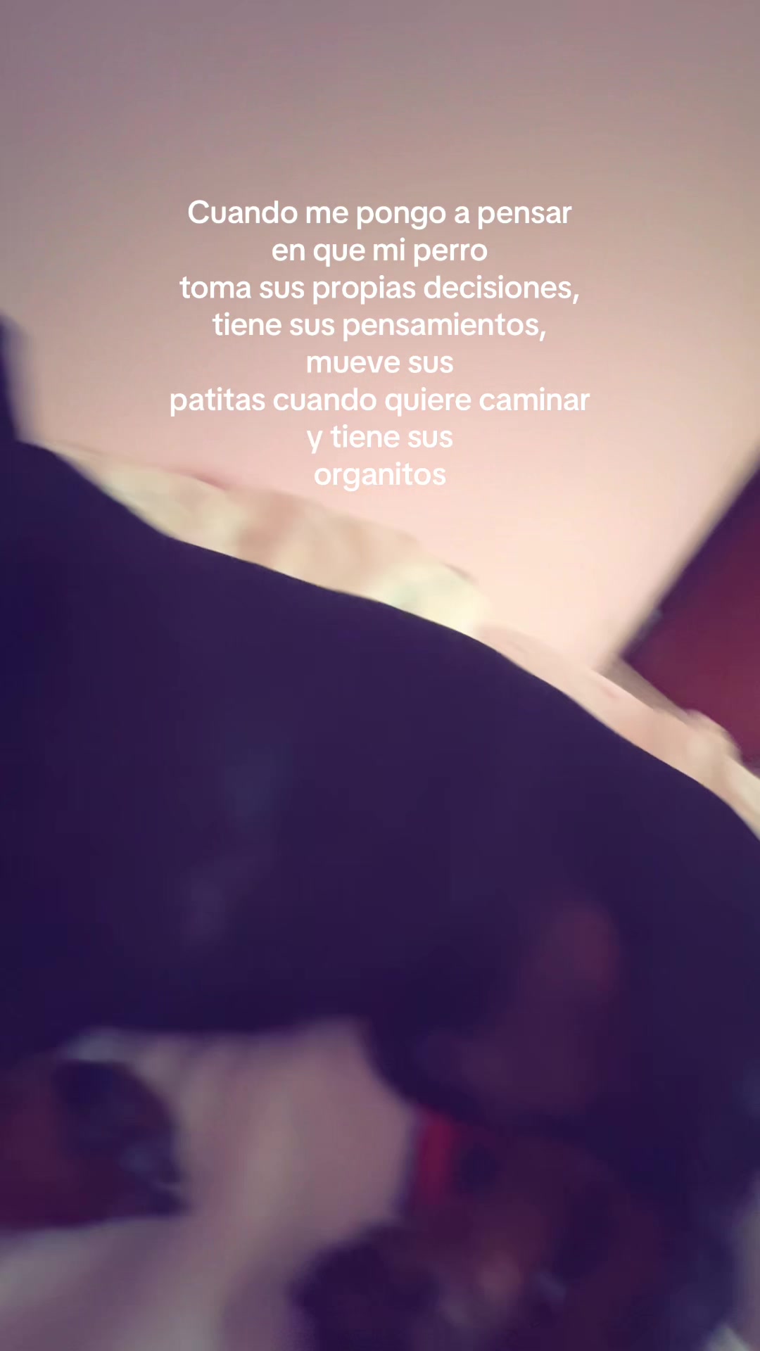 @CRISTINA