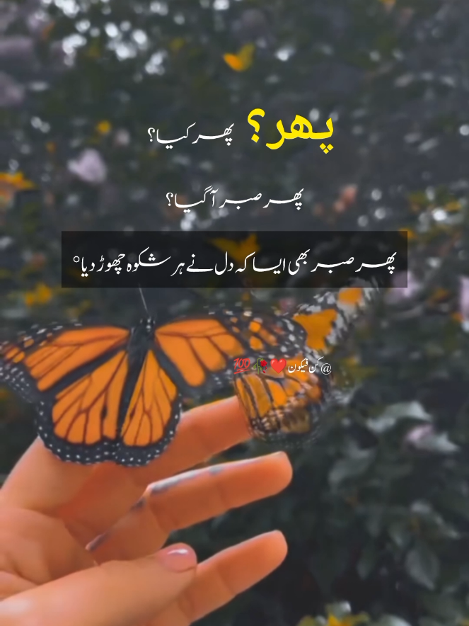 @کن فیکون ❤️