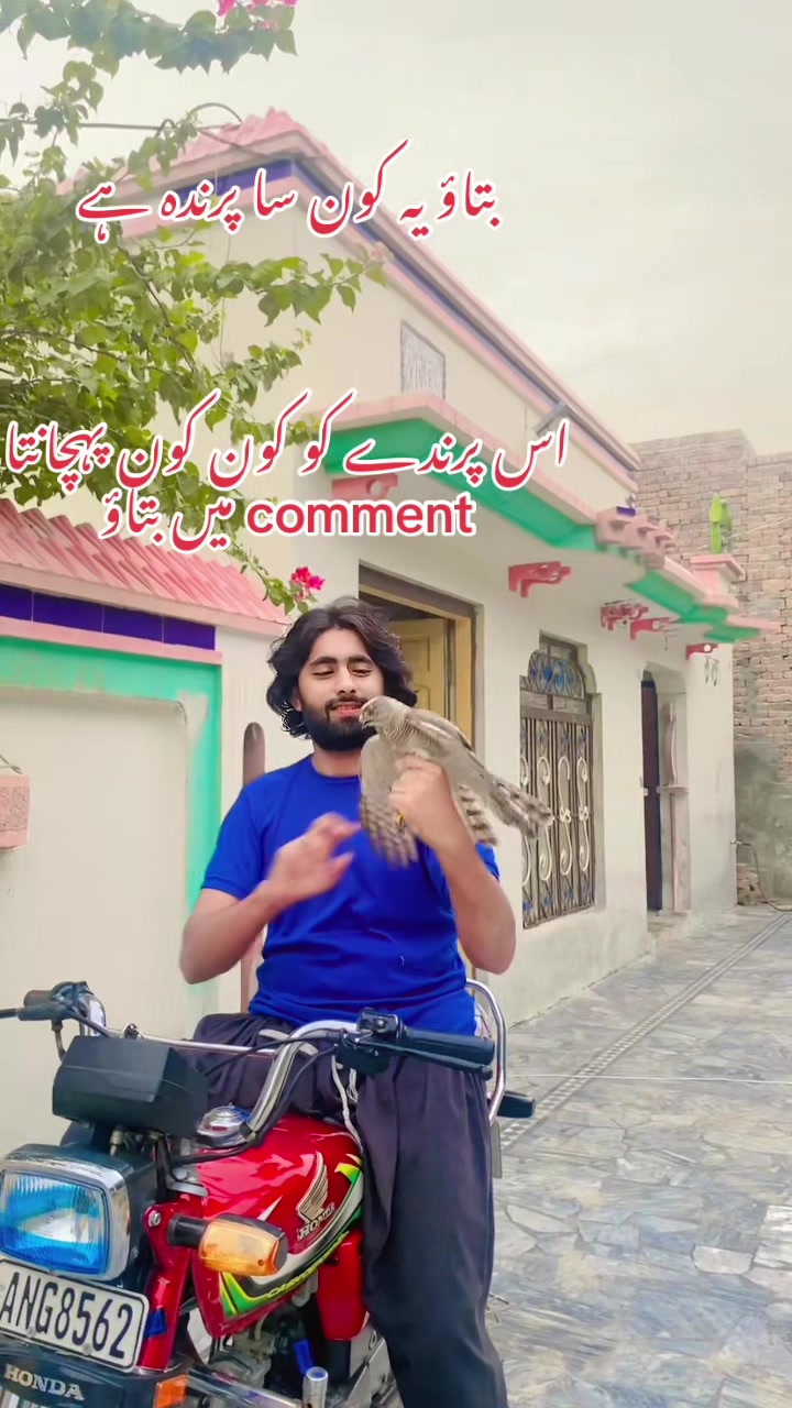 @shahbazhairsaloon1122