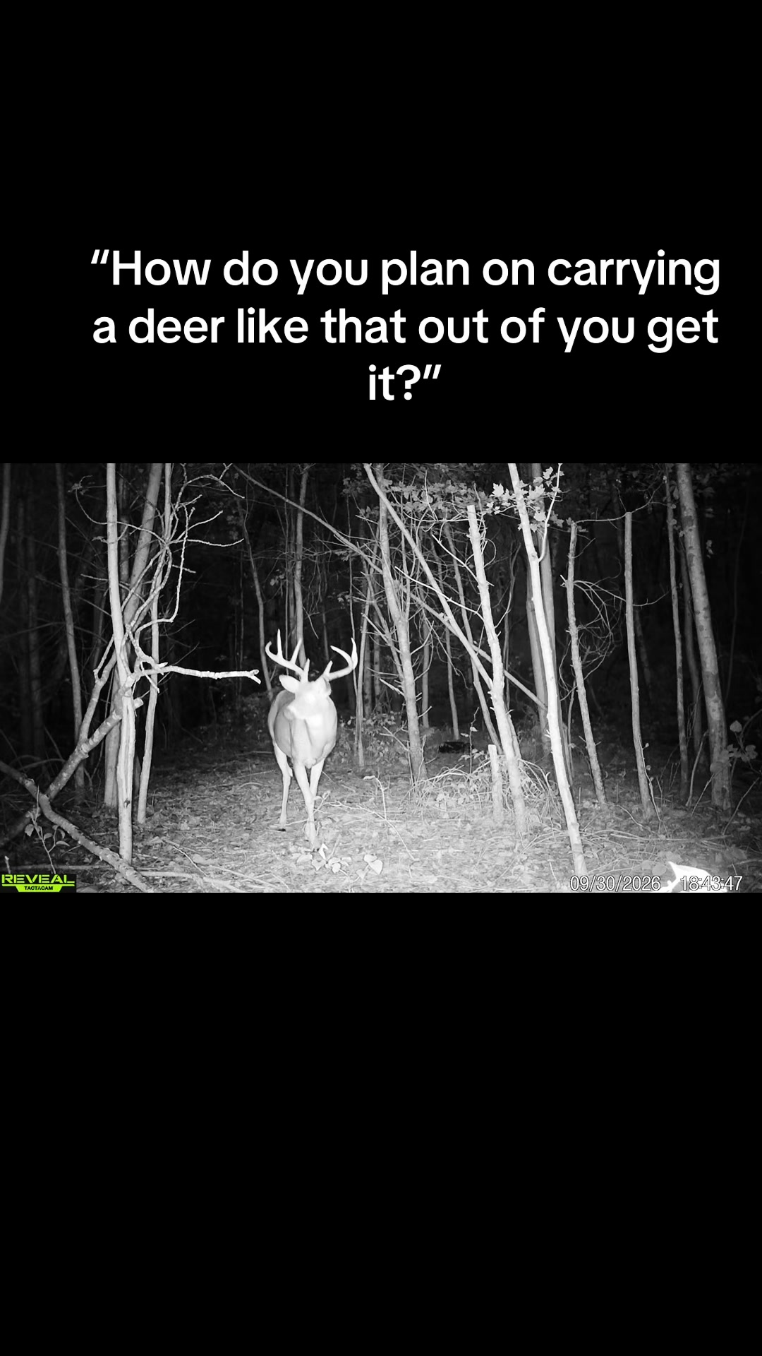 @the_natty_cowboy_