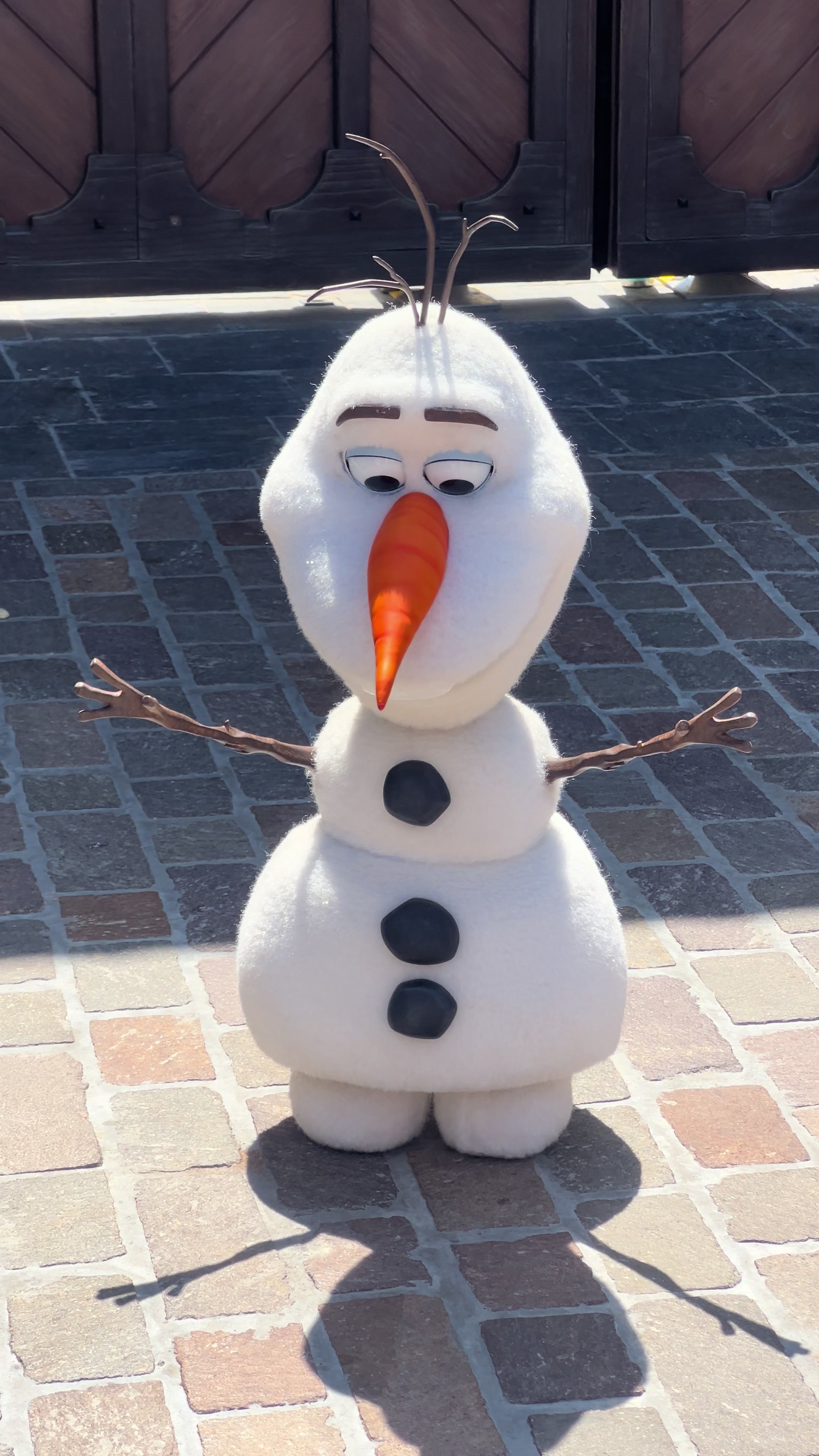 @disneyfamily