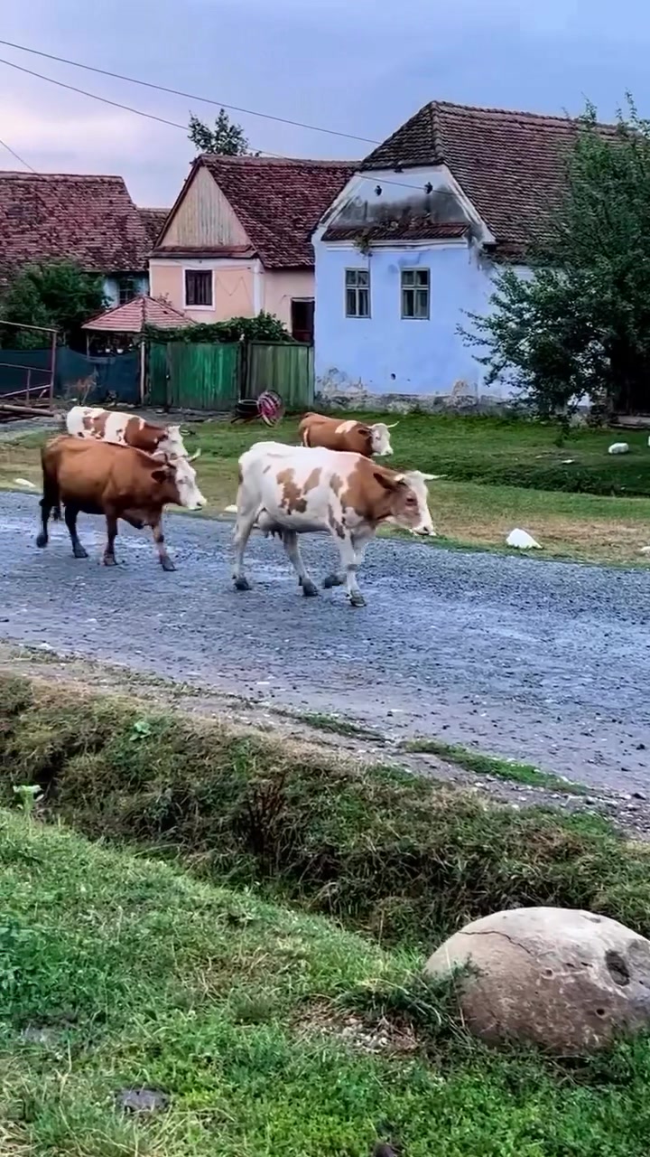 @Romania