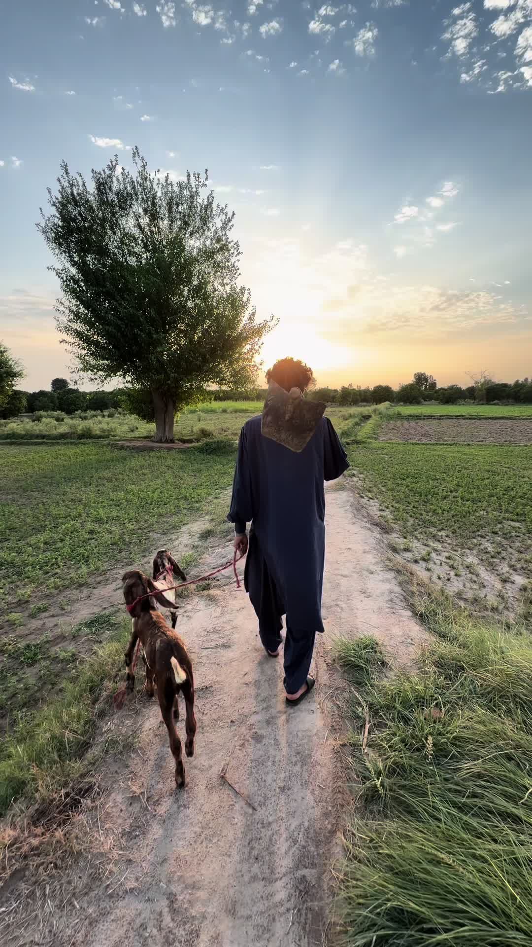 @hsntiwana