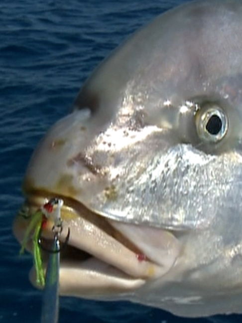 @Fishing TV