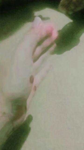 @محترمہ🫰