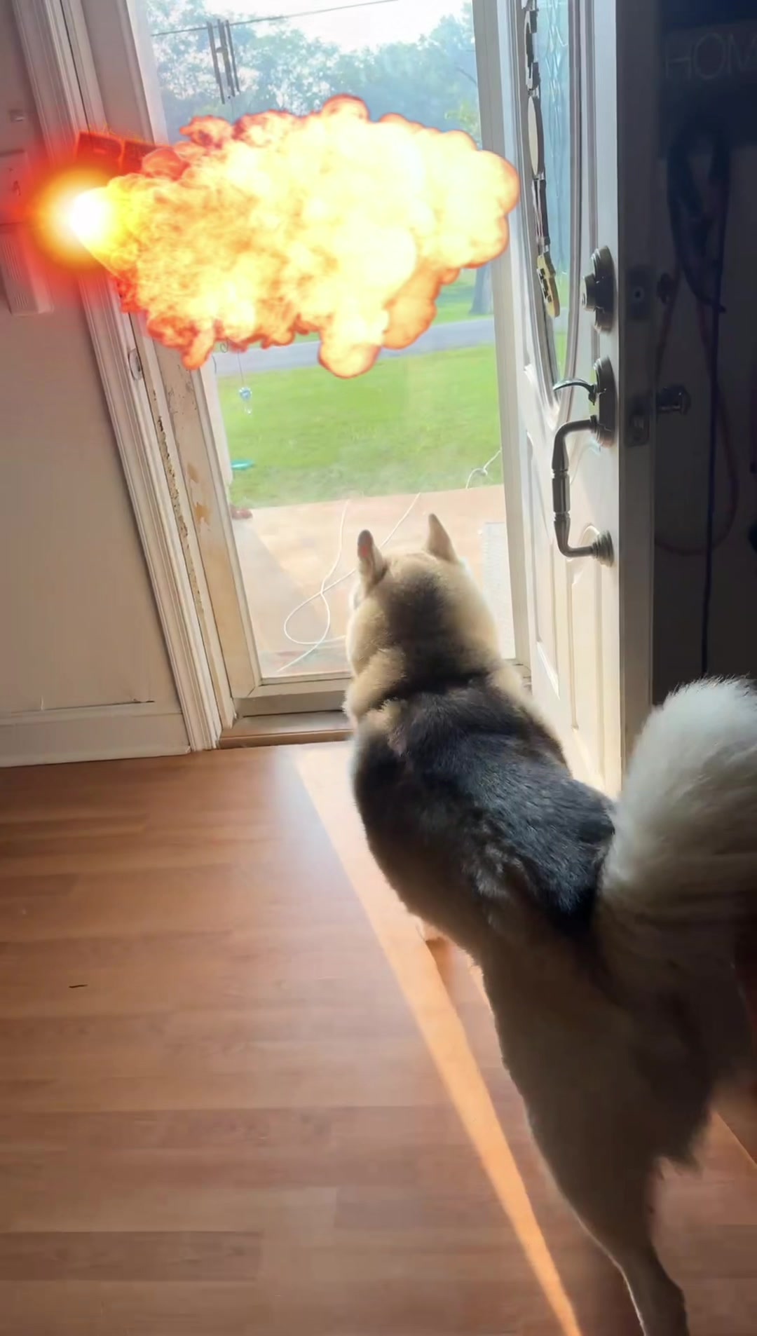 @FourHuskyteers
