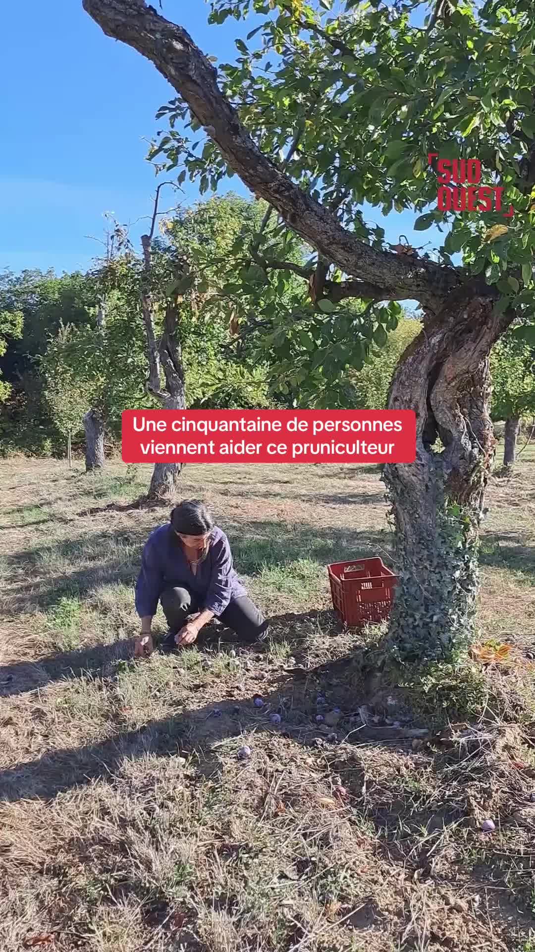 @Sud Ouest