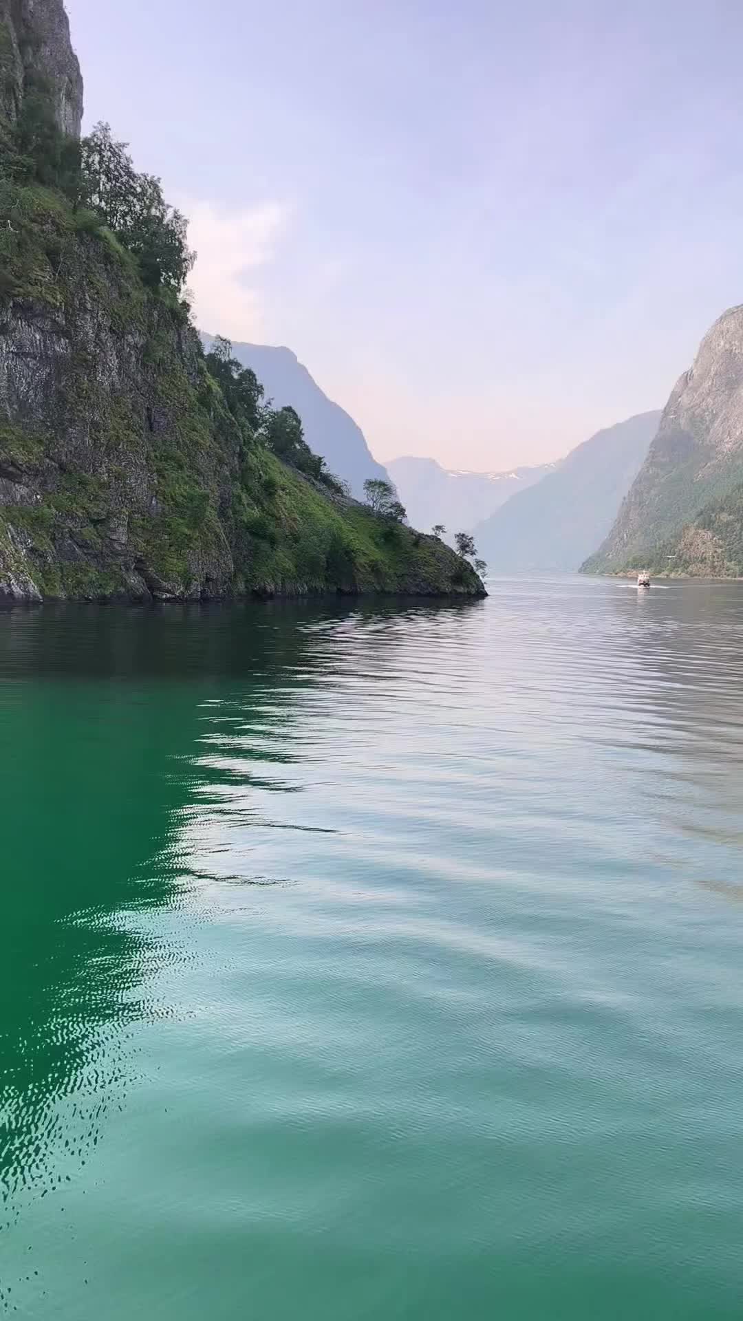 @Massimo 🇮🇹