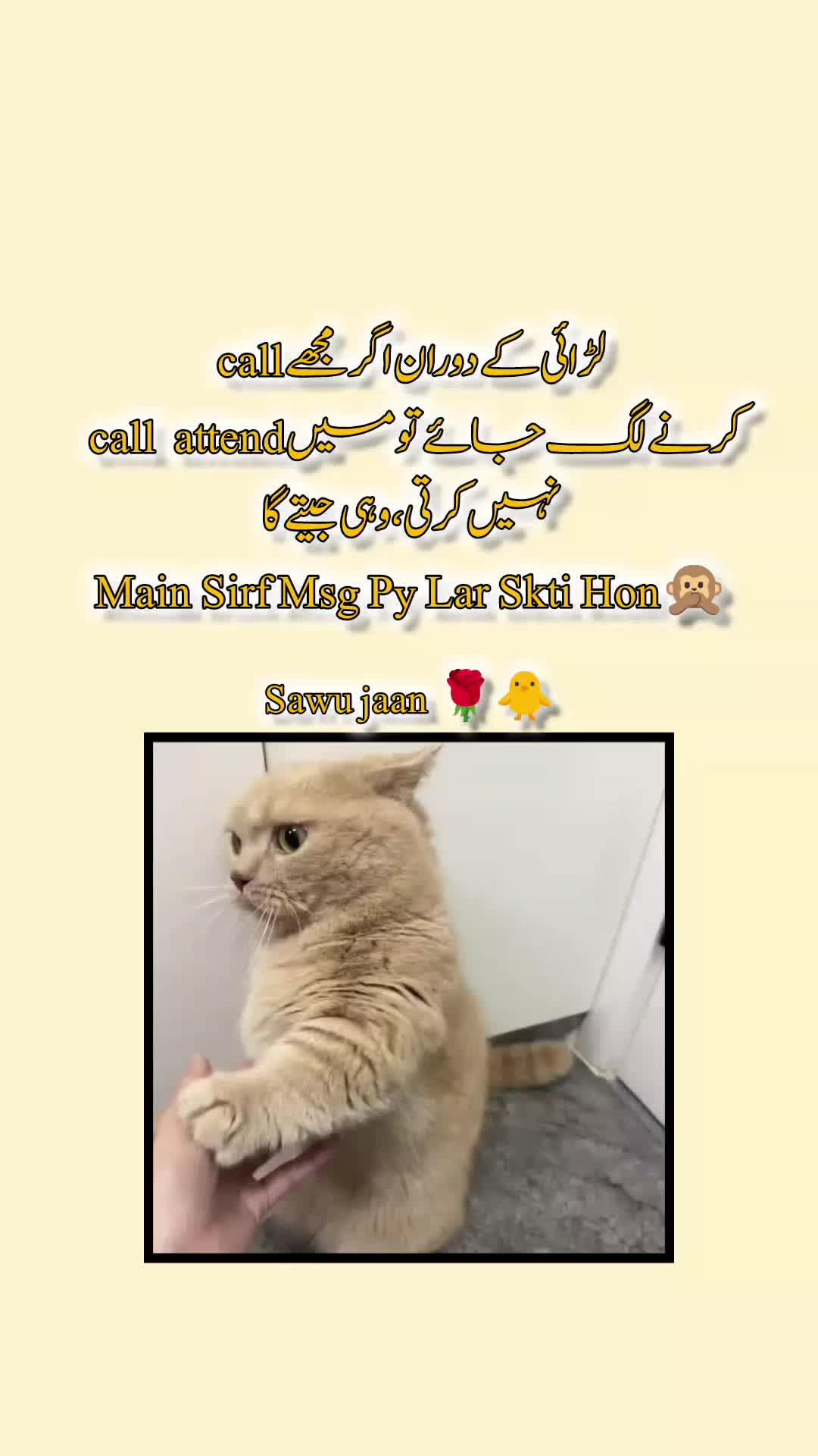 @Sawu Jaan ๐น