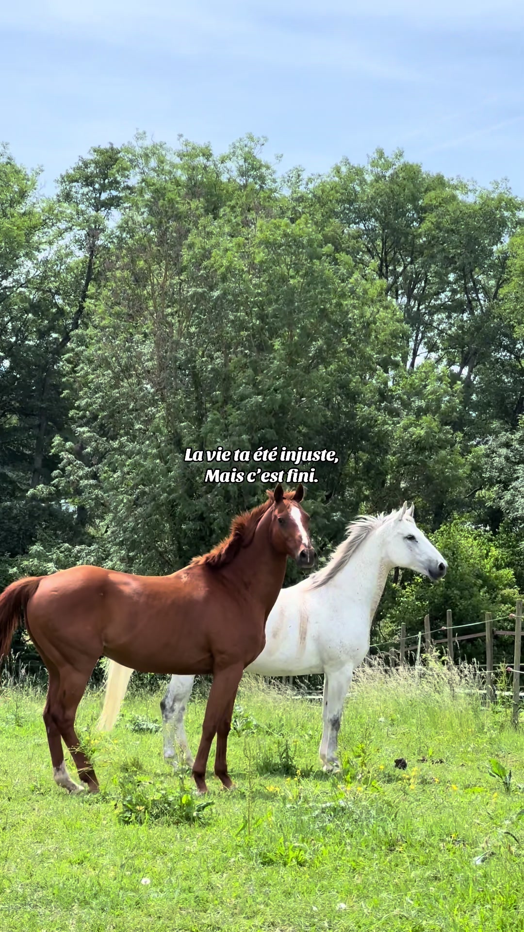 @𝐂𝐞𝐥𝐢𝐚 & 𝐓&rsquo;