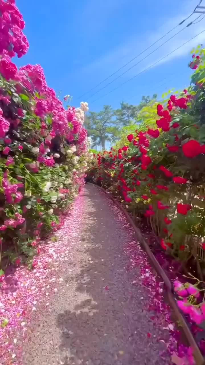 @Mart&iacute;n1982