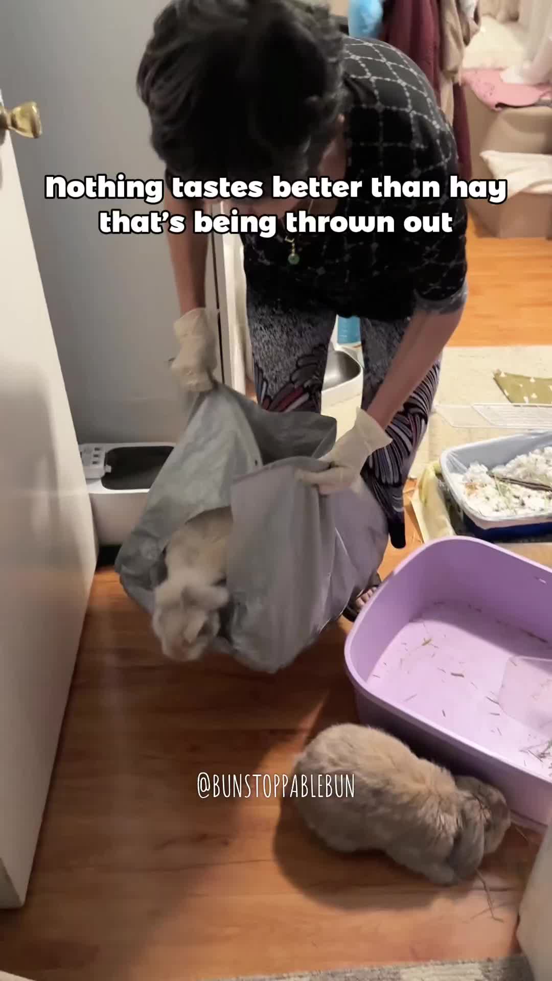 @BunBun, Mochi🌈, Chewy