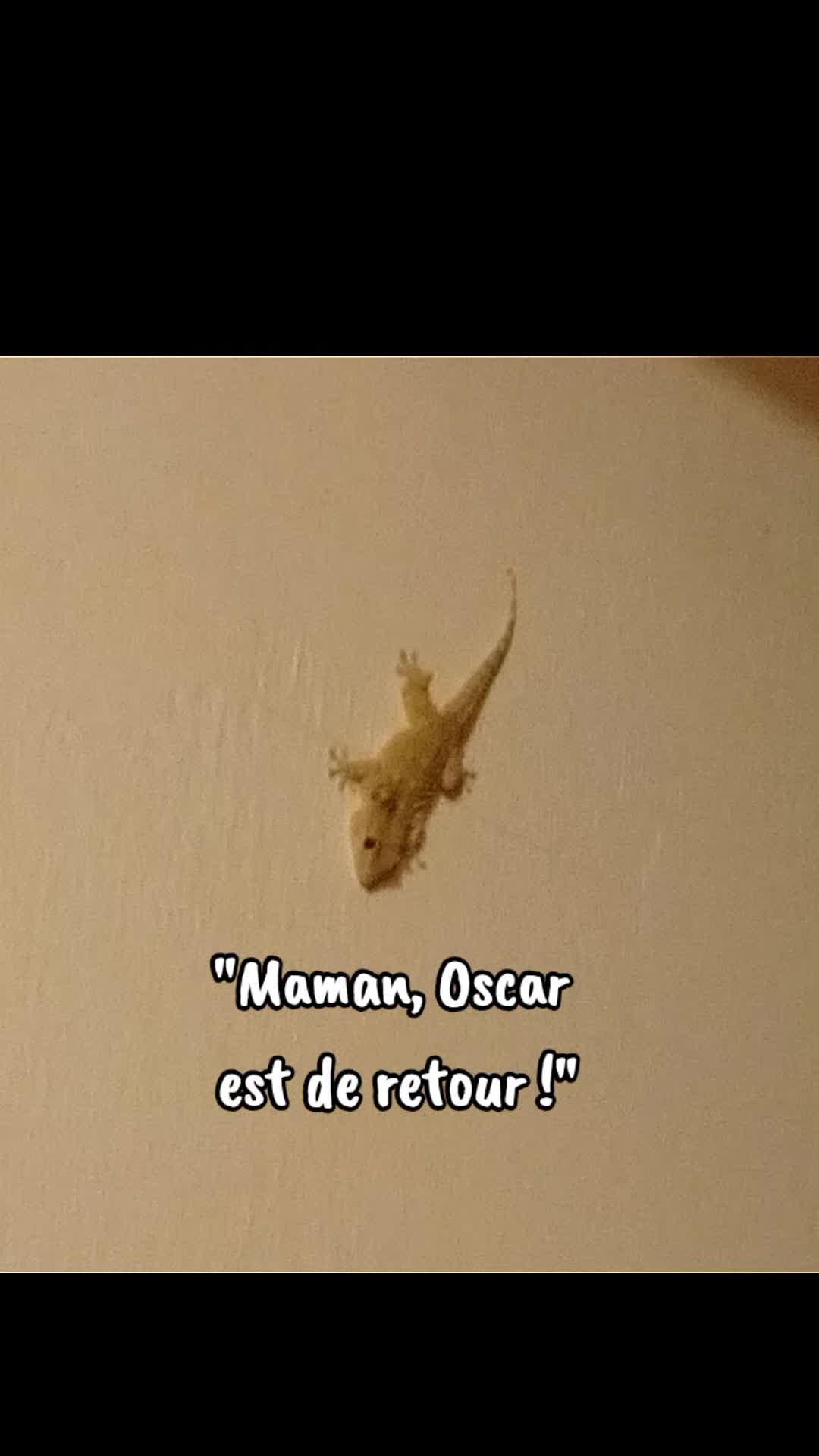 @𝘚𝘶𝘱𝘦𝘳 𝘗𝘩𝘪𝘯𝘰𝘶