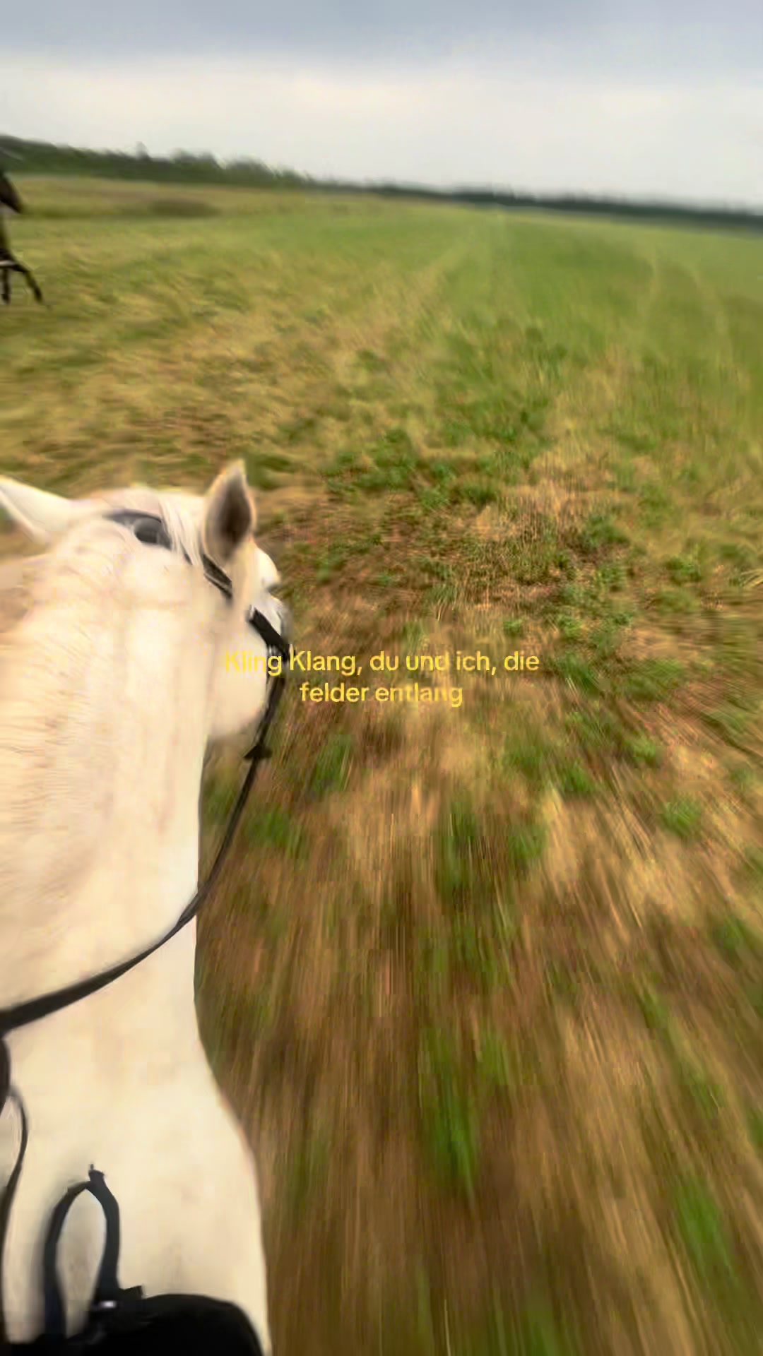 @ℋ