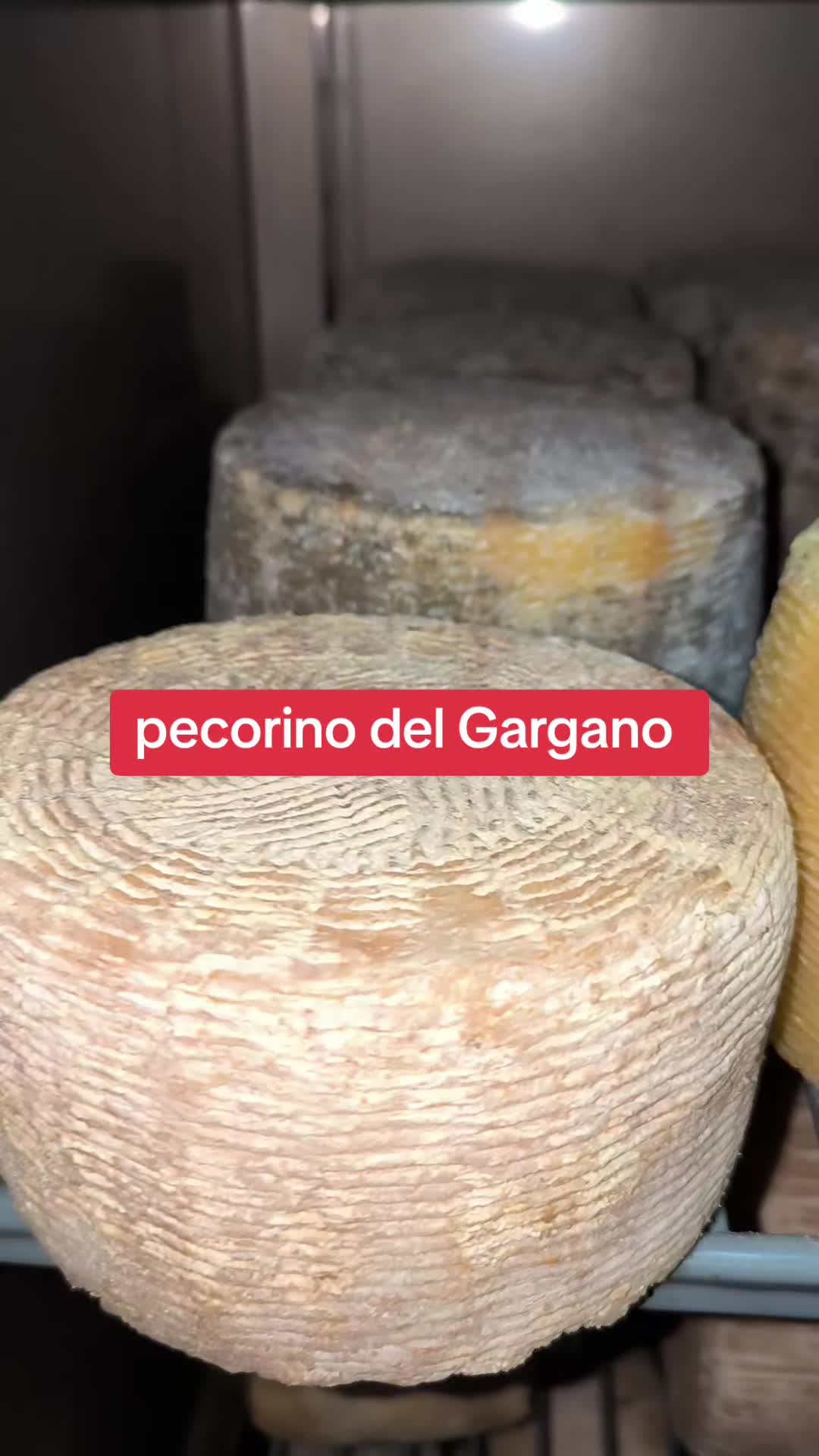 @Giovanni