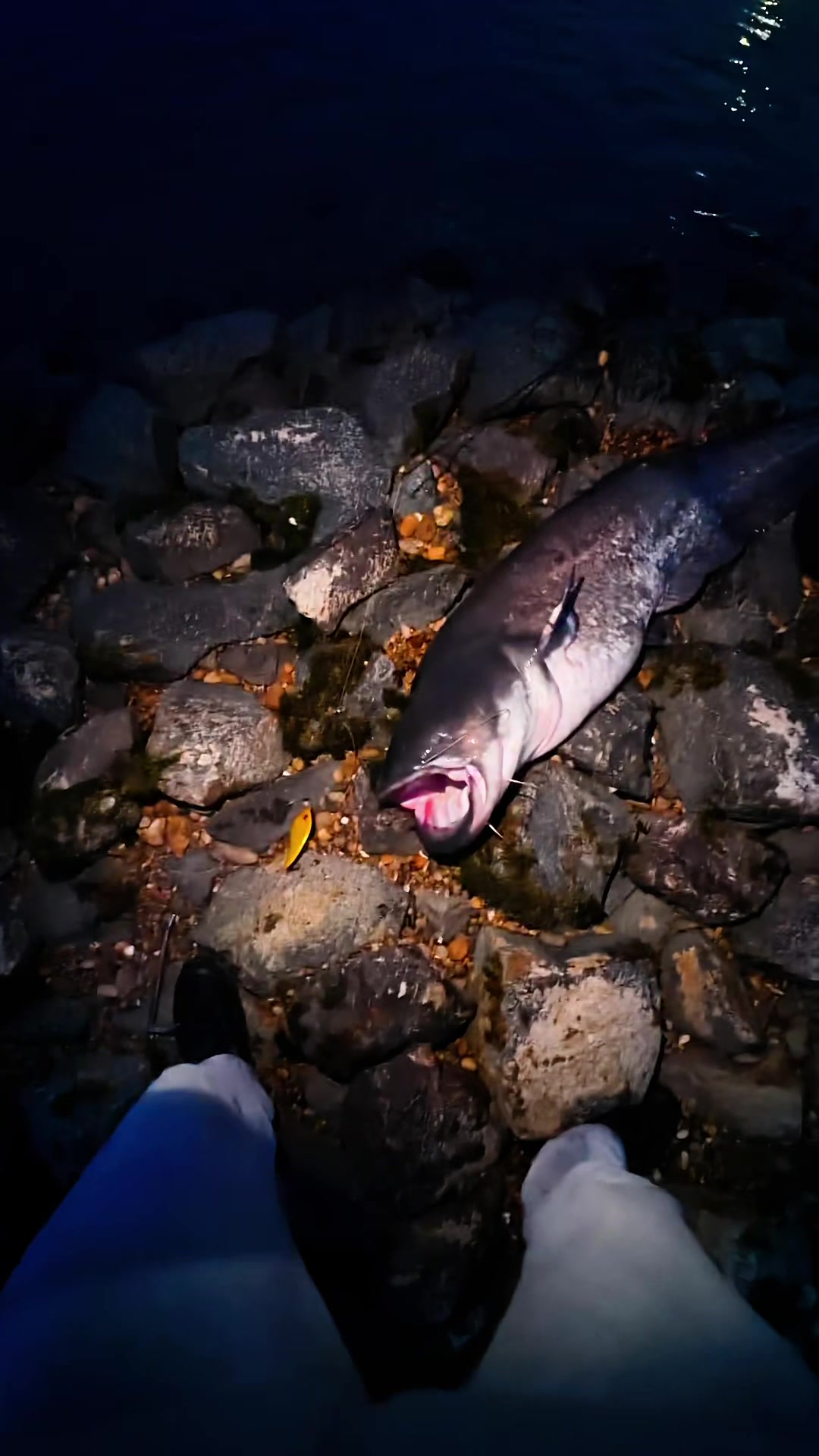 @Gian Fishing