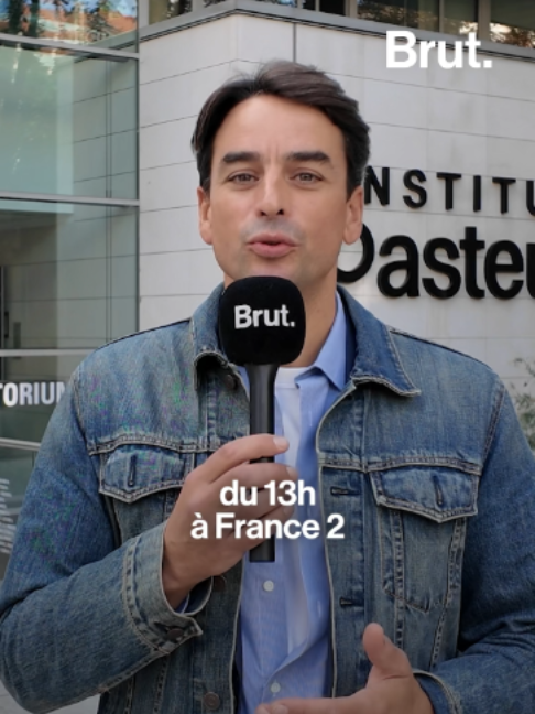 @Brut.