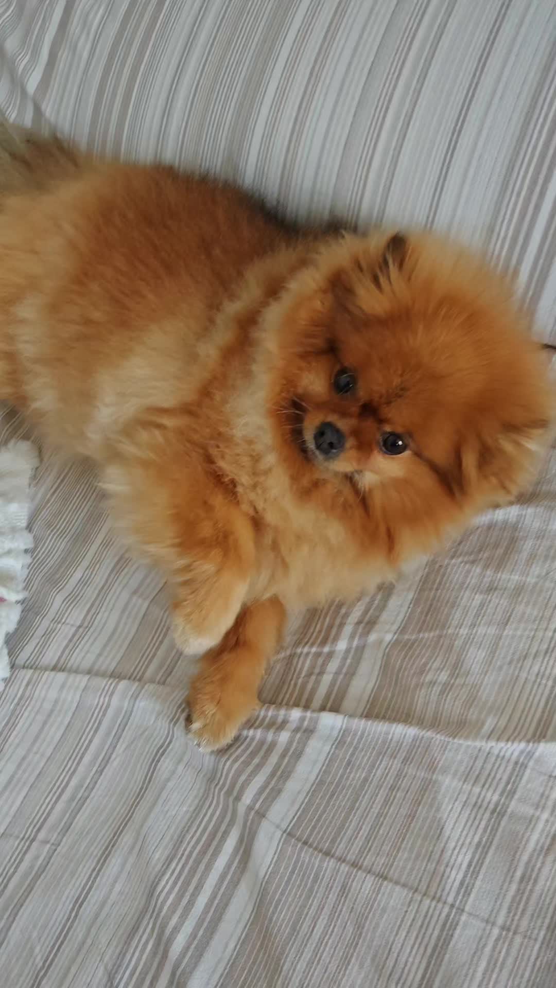 @Nicoletta 🥰