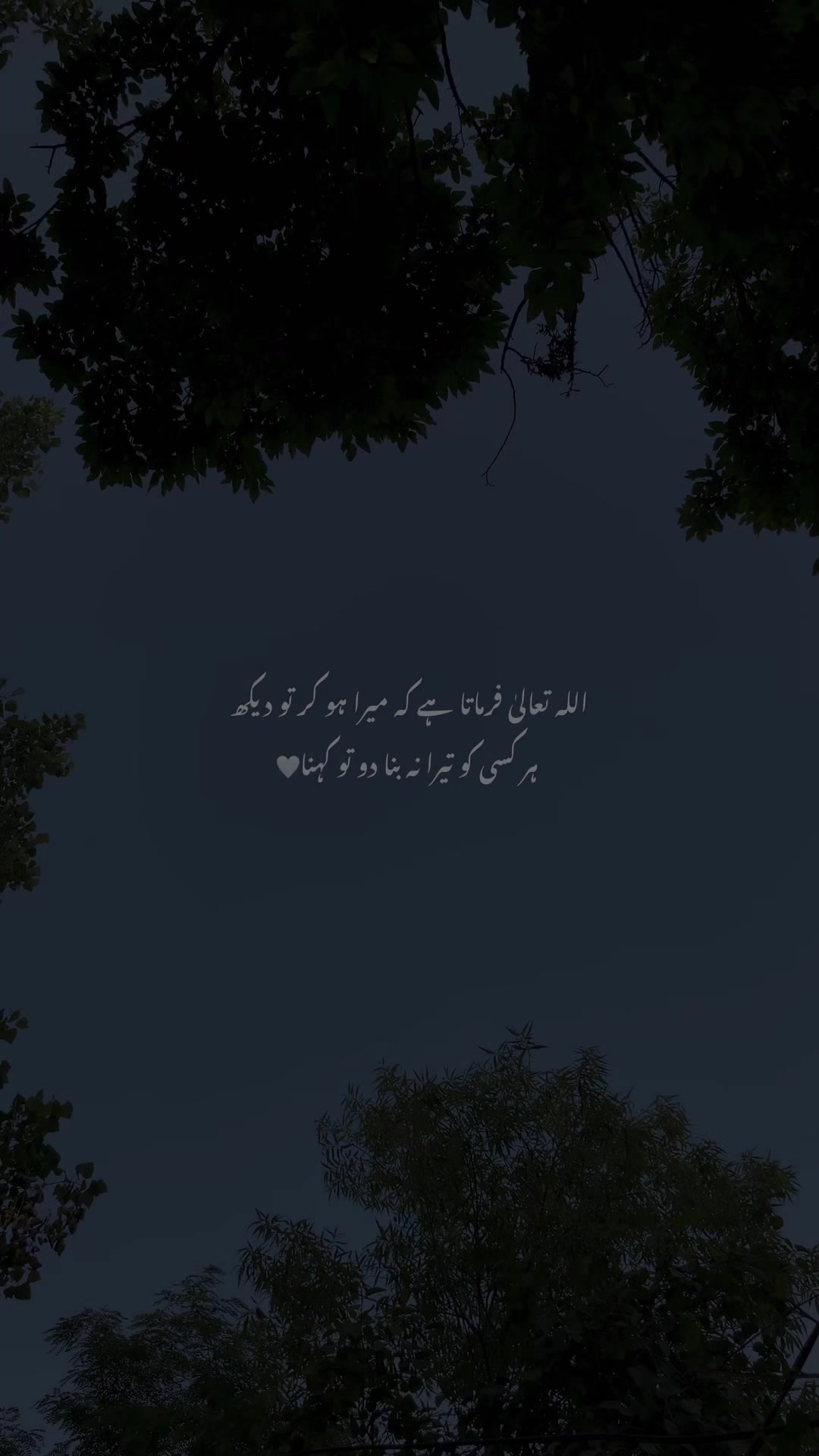 @E N Z O ♡