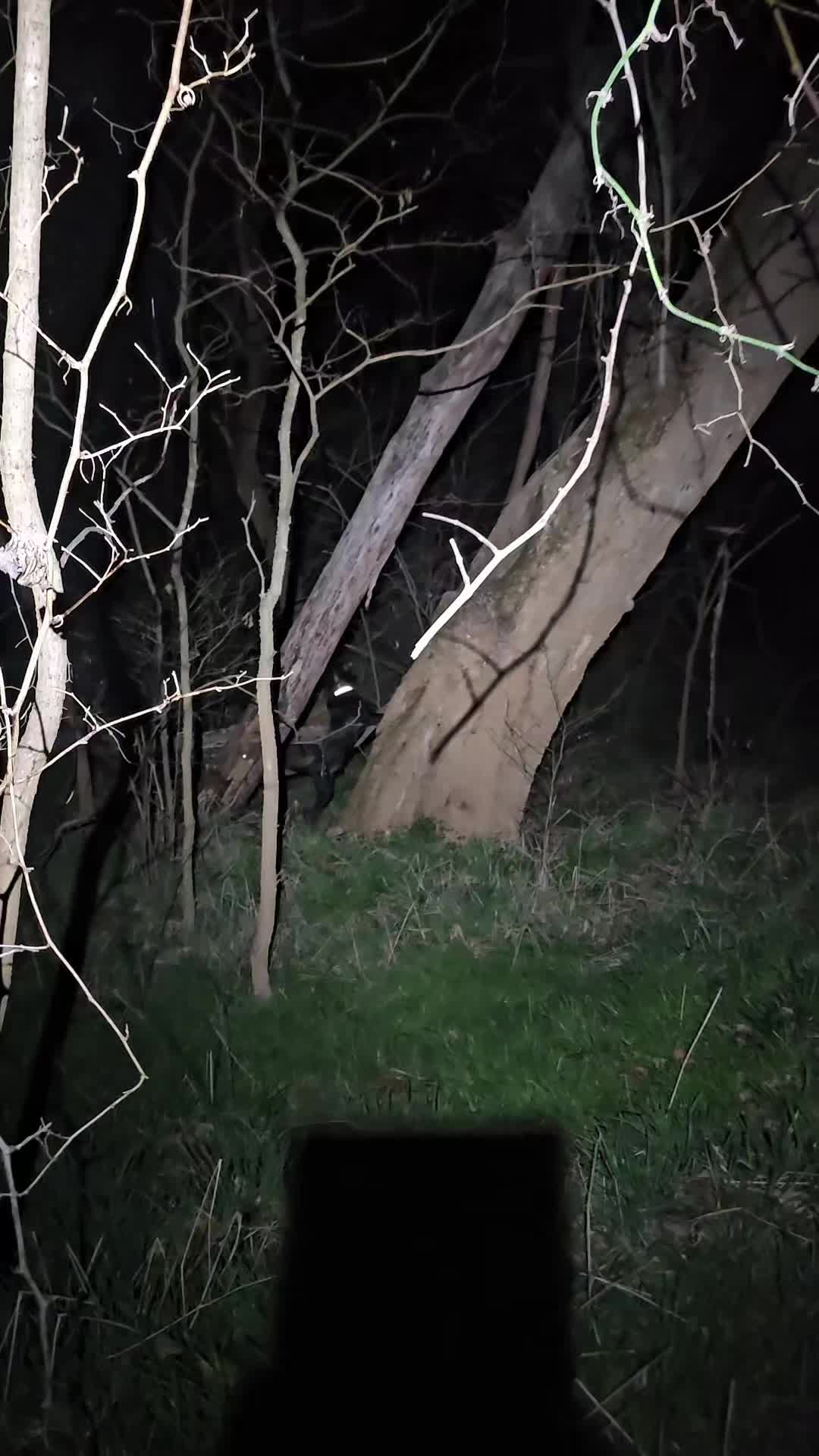 @theboer'dgoatfarm 🦆