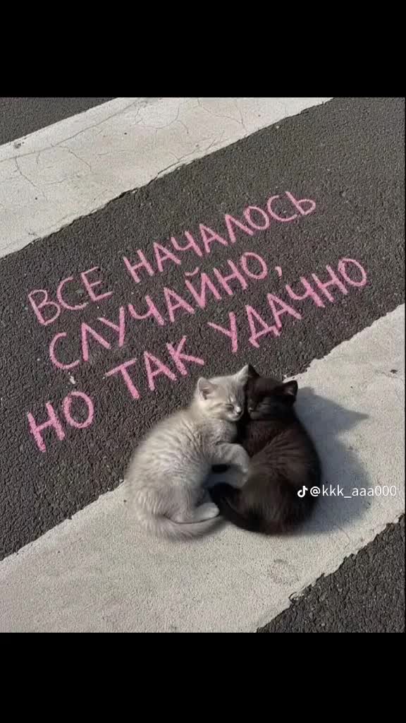 @❤️Мама двух ангелочков ❤️