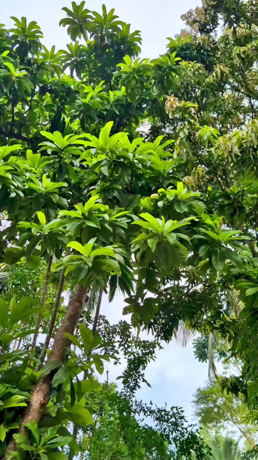 @đđSad Sabbir Akasđđ