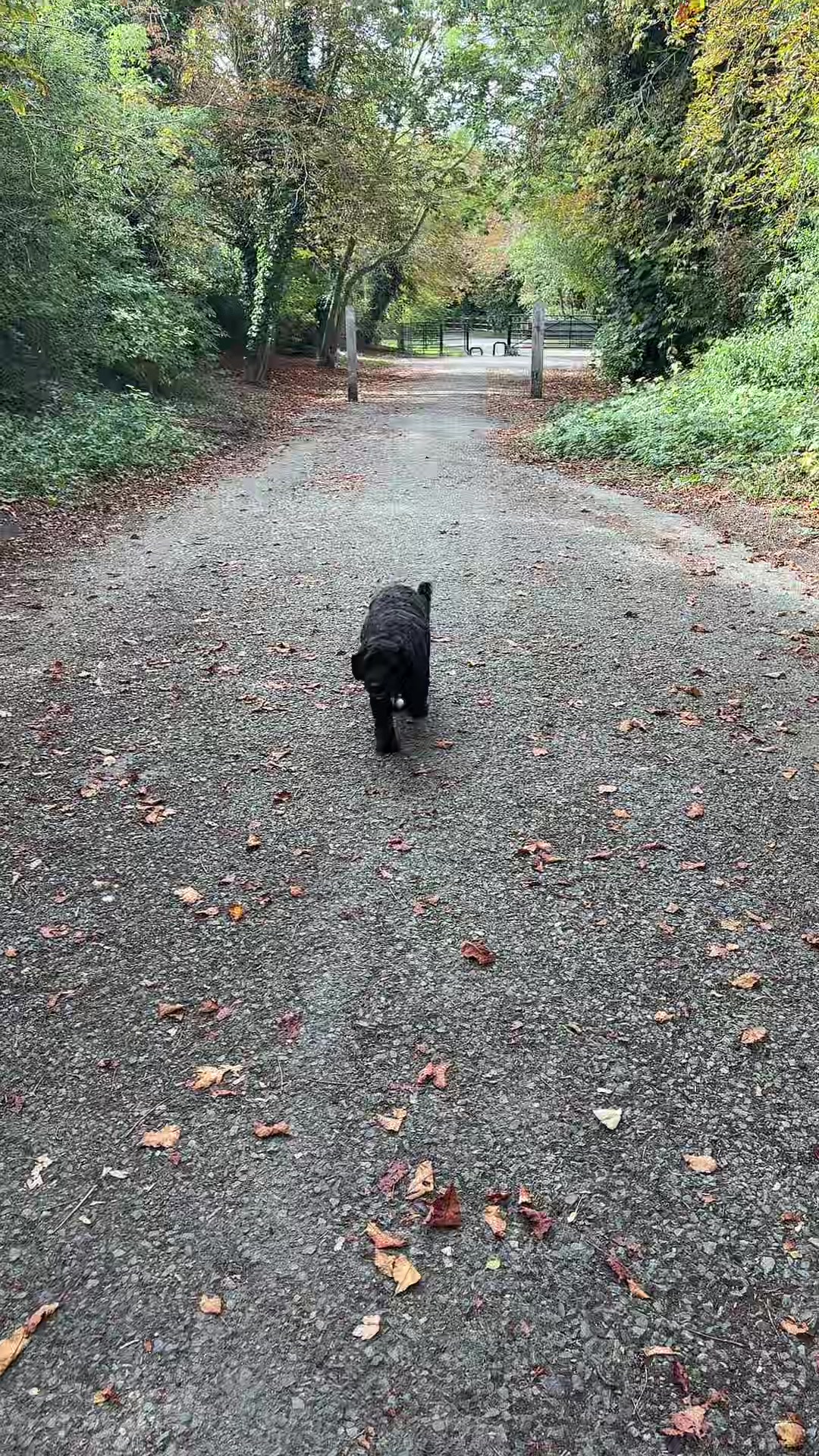 @tswoofwoof.co.uk