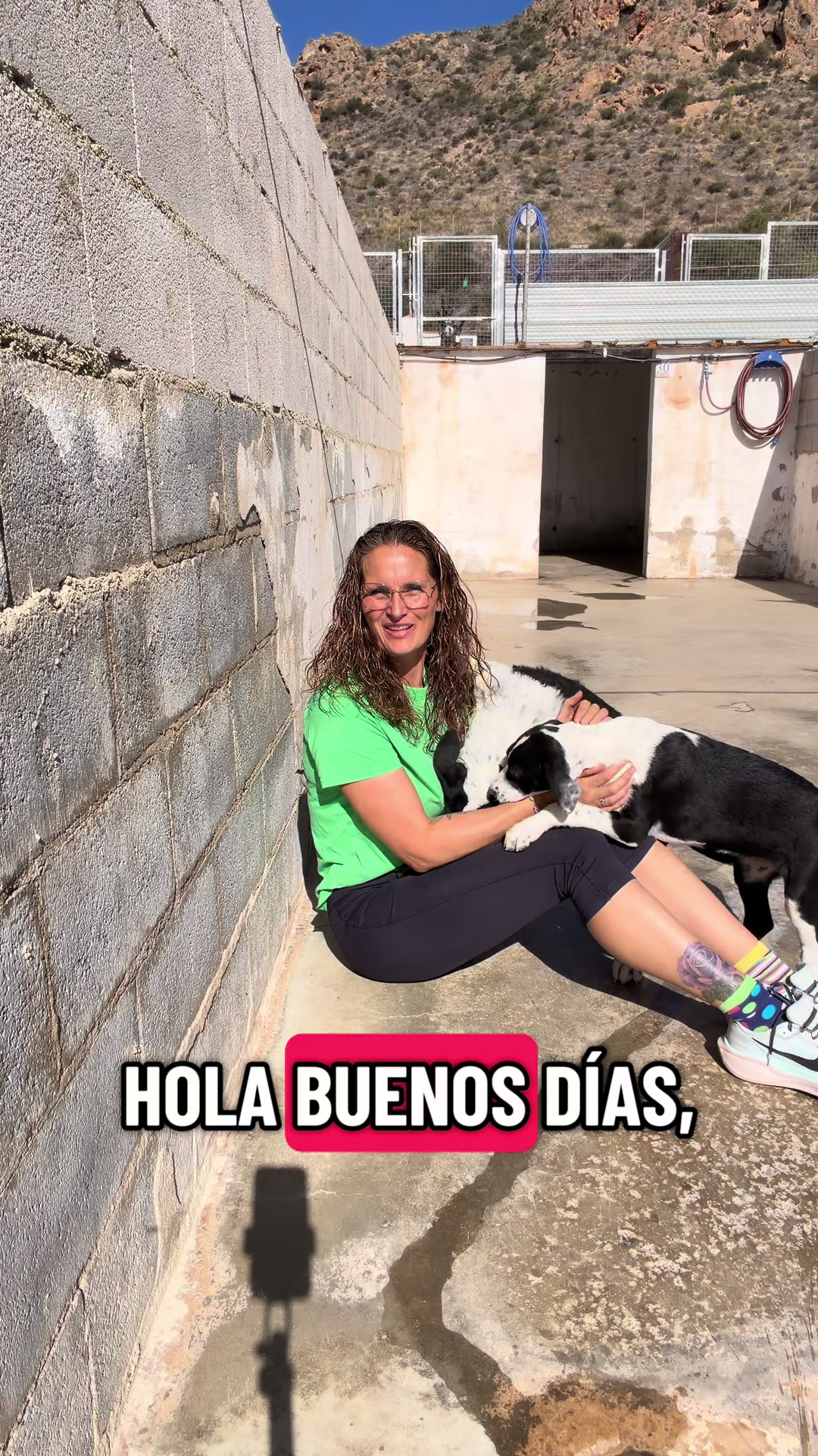 @aguiproan_protectora
