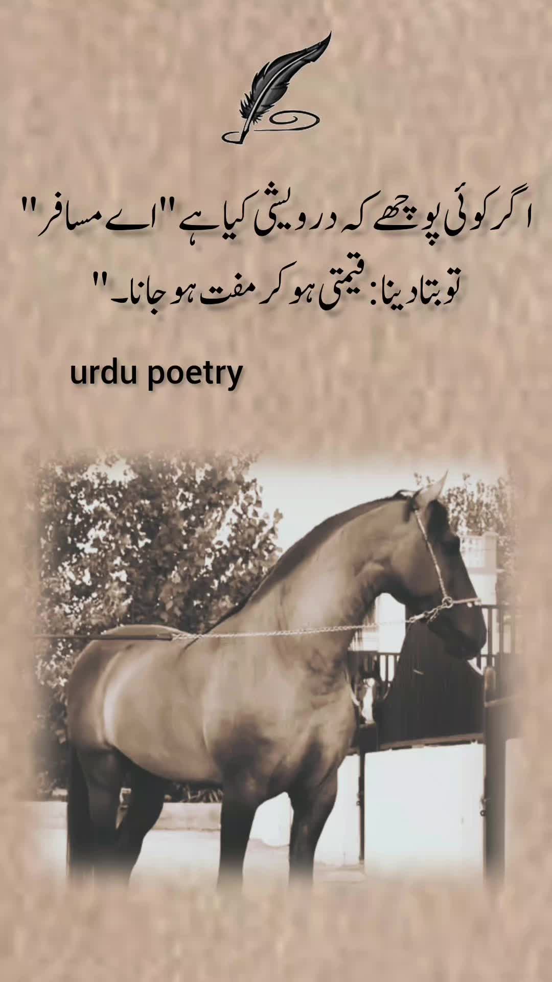 @Urdu poetry🇵🇰🇬🇷