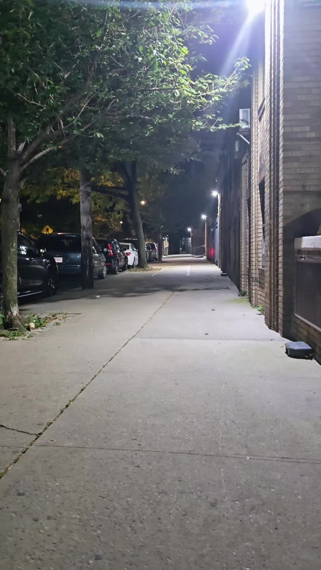 @𝐶𝐻𝐼𝑀𝐴𝐷𝑂𝑅