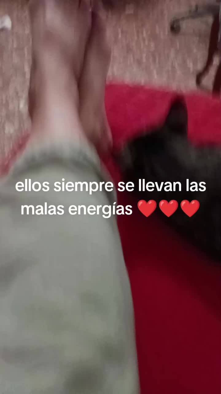@Vero Jimenez Ferrer