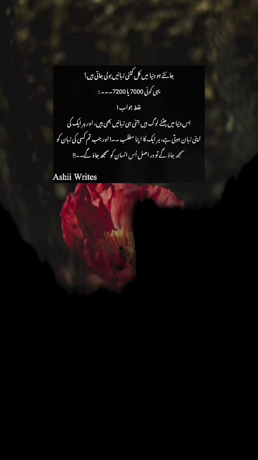 @AYEشHA