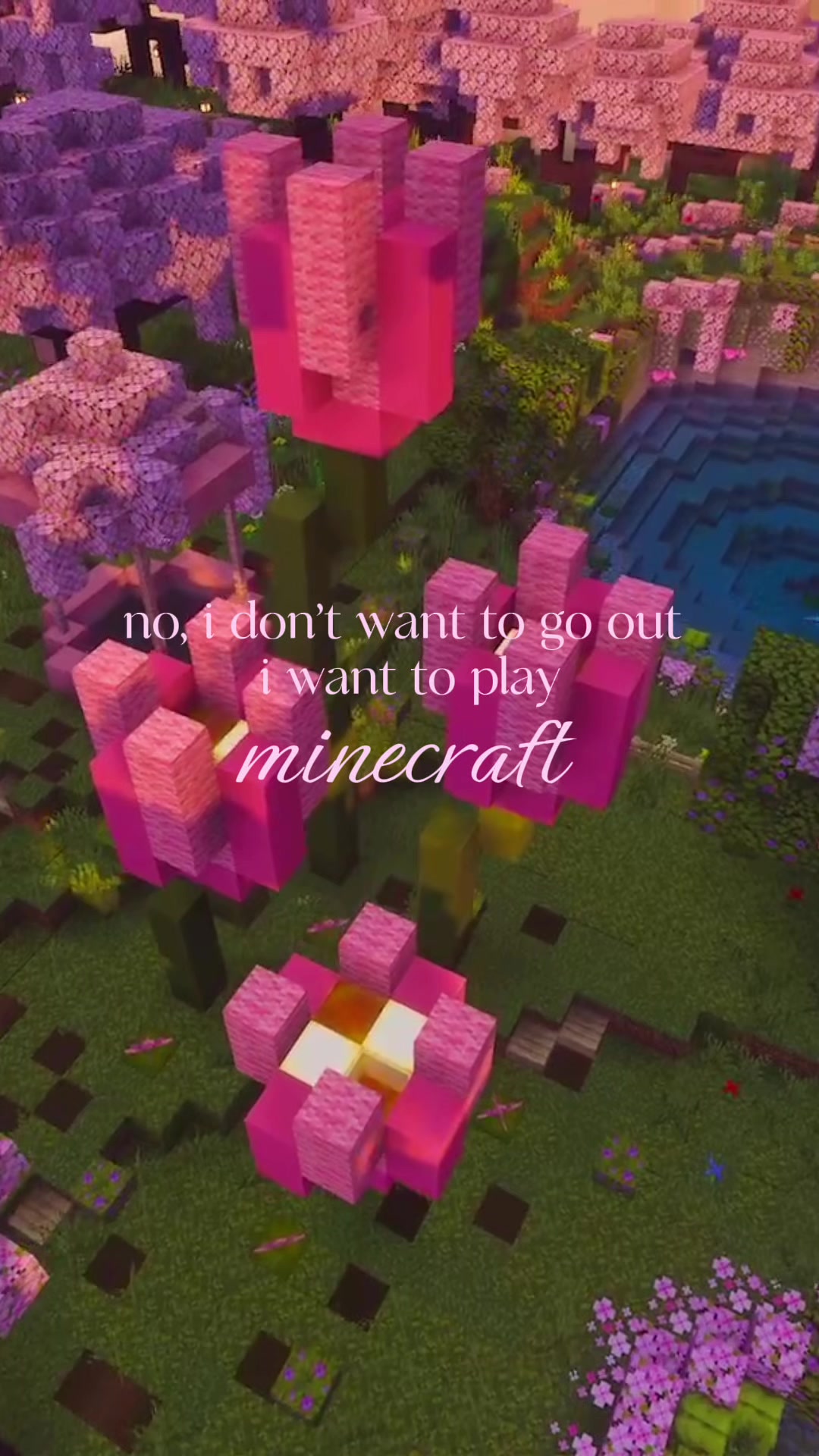 @⋆˙⟡ 𝑚𝑎𝑑𝑧𝑖 𐙚⋆.˚