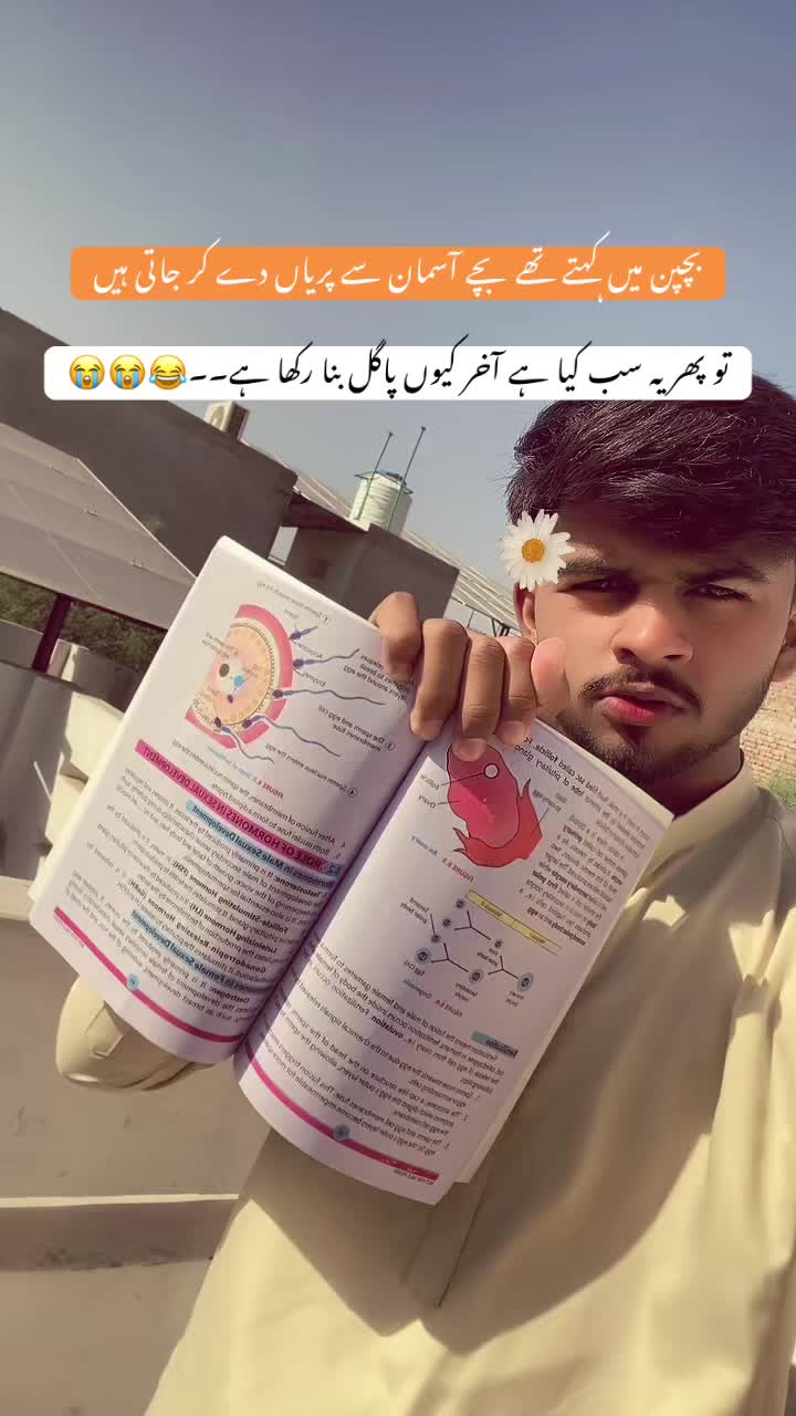 @دانی۰❤️🩹