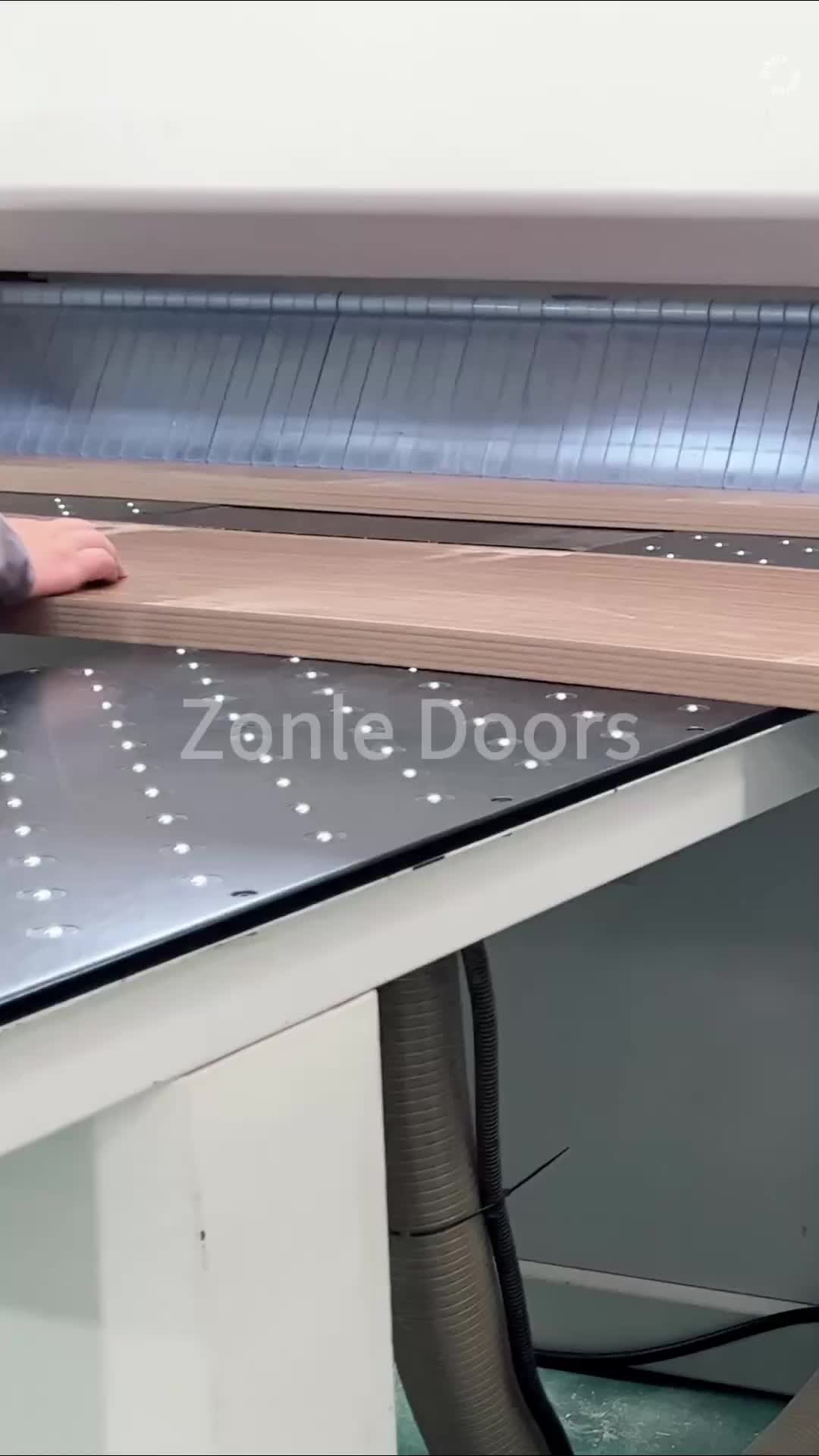 @Zonle Doors