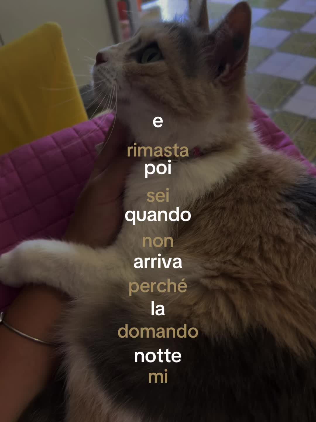 @sconosciuto_22.13