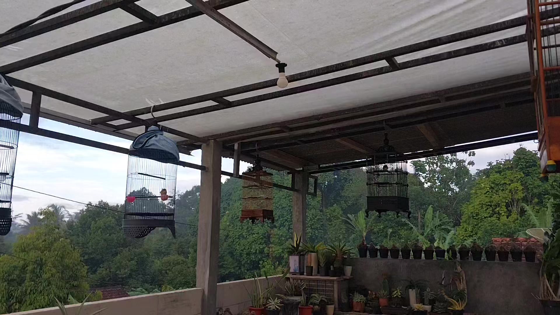 @AmeNursery