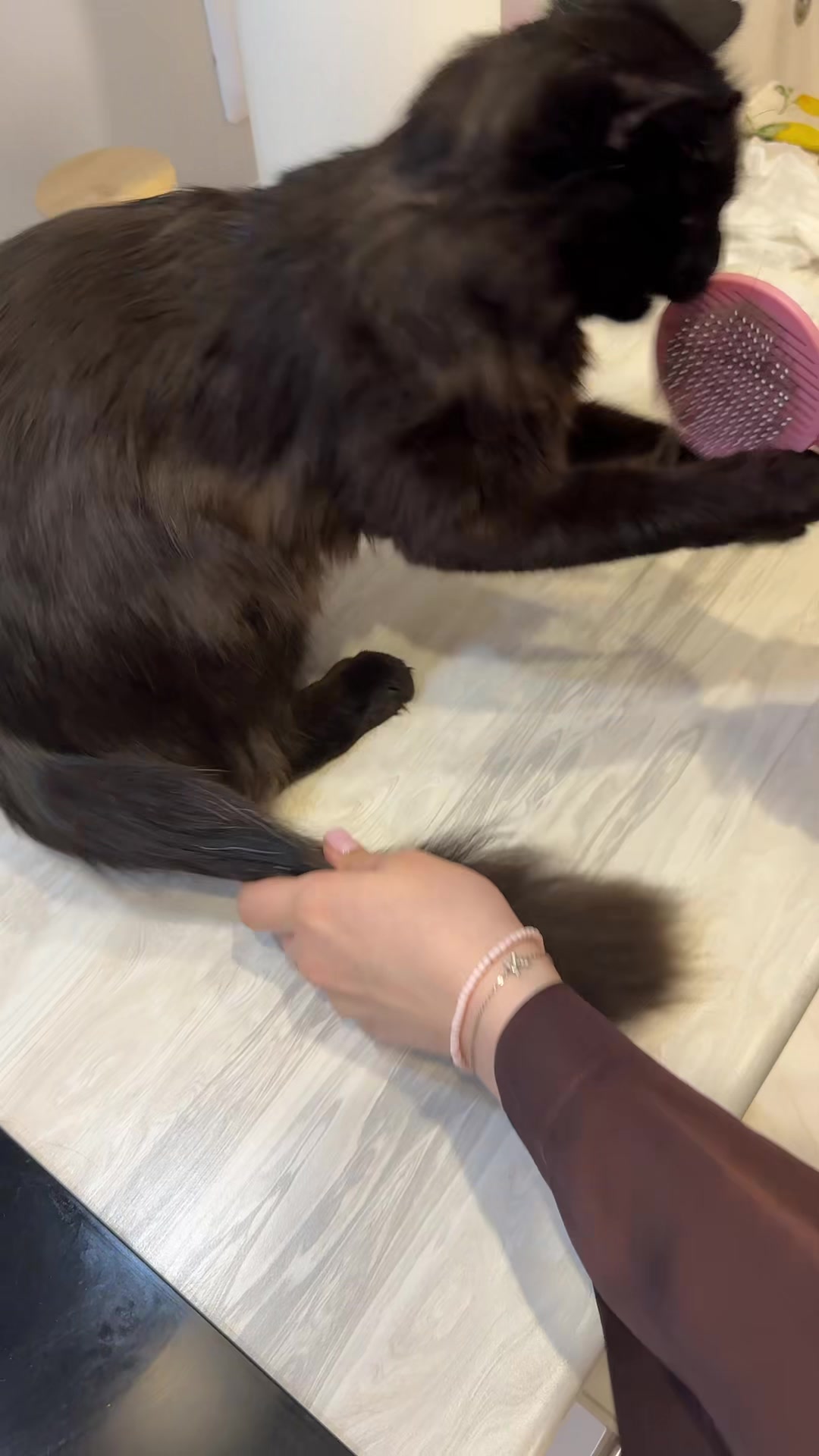 @Cat Sosik