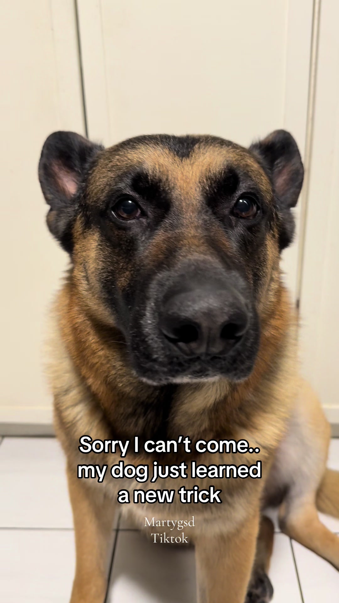 @Martygsd